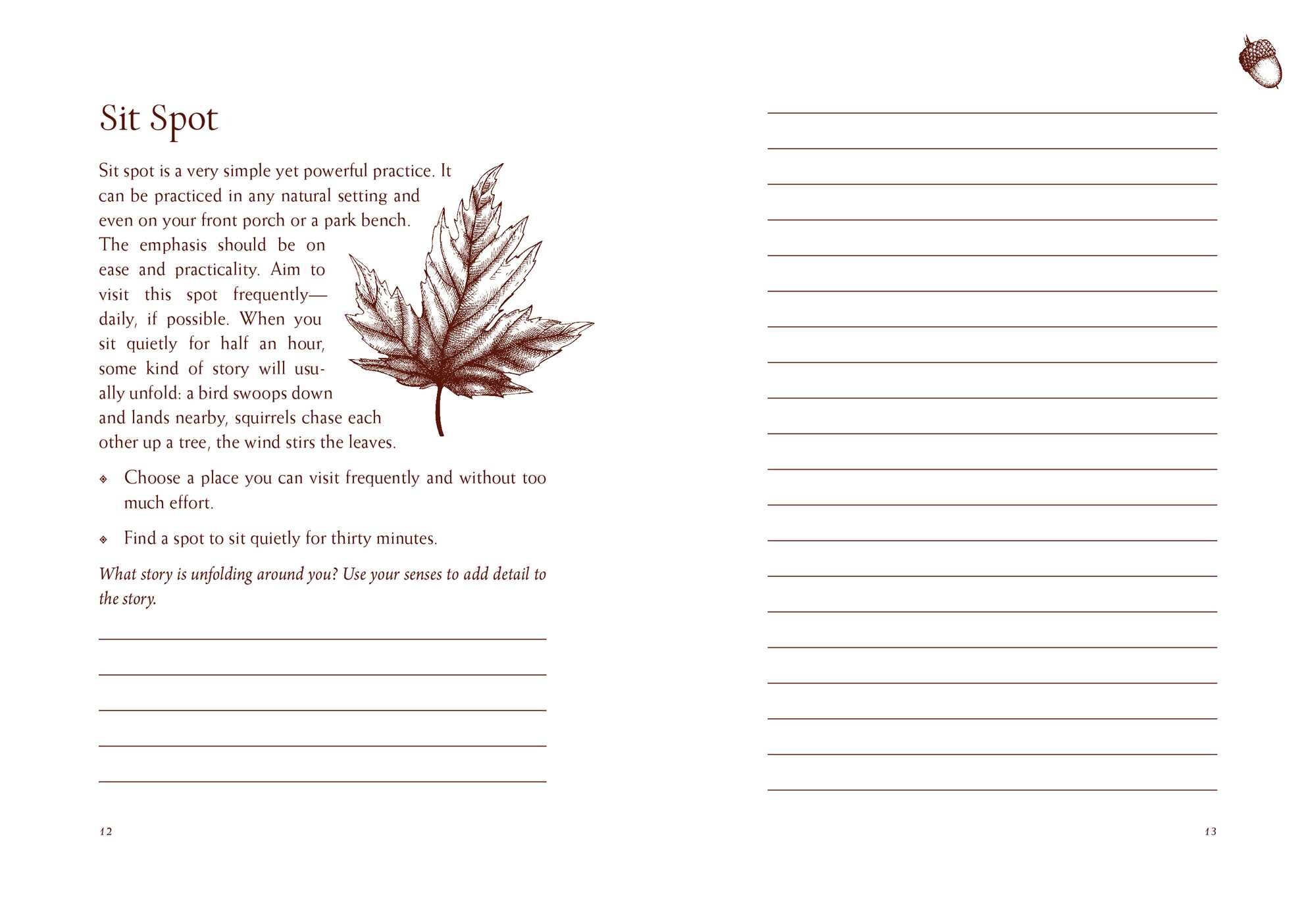 Your Guide to Forest Bathing—A Journal