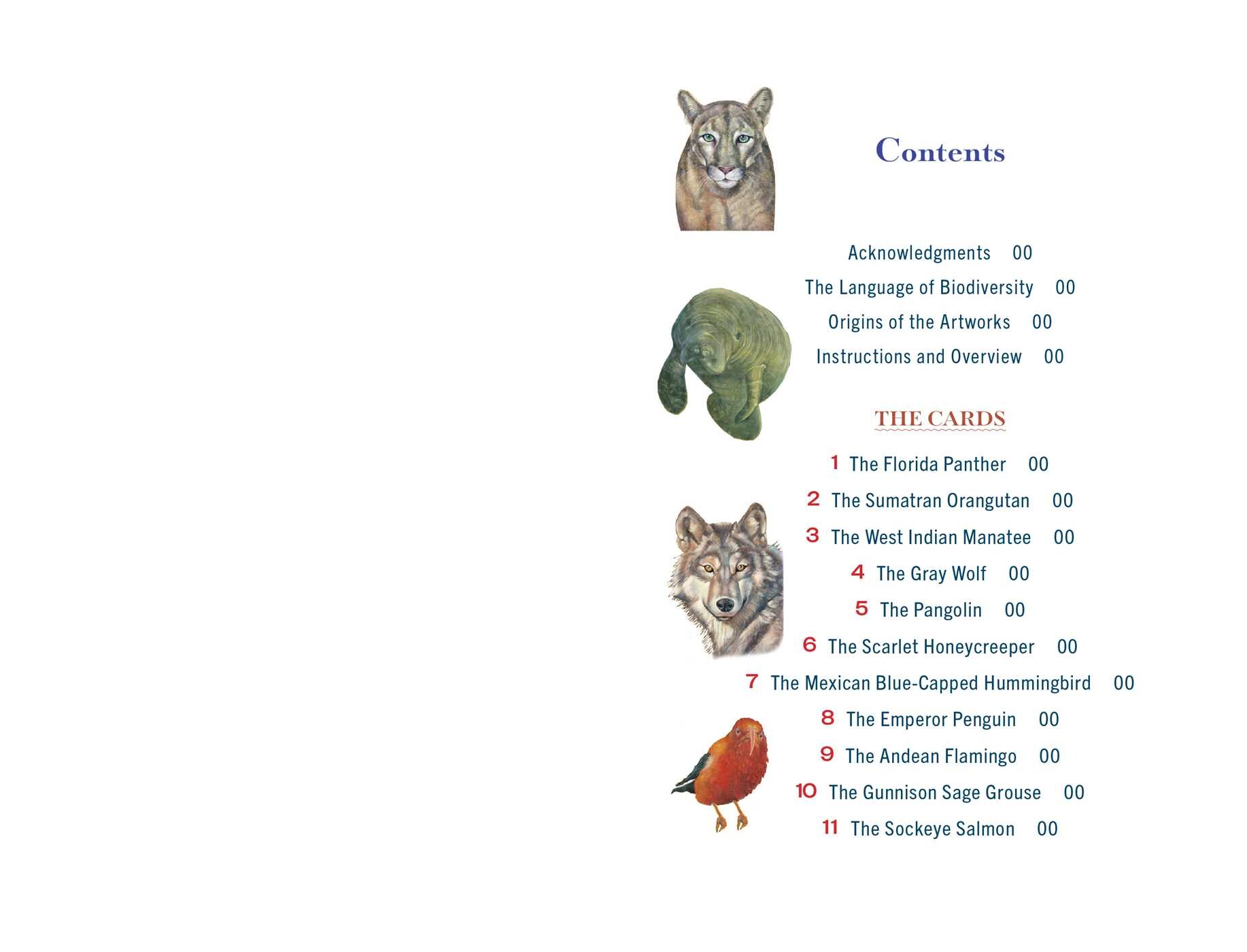 Sacred Biodiversity Oracle