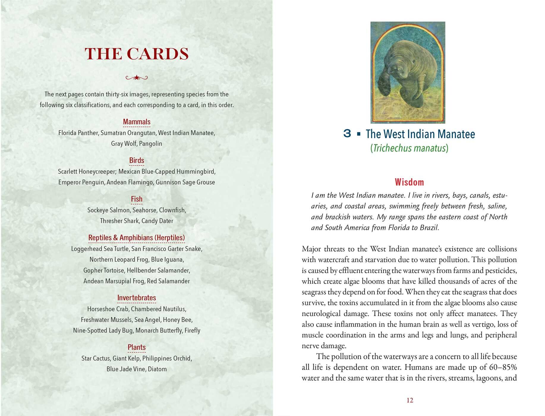 Sacred Biodiversity Oracle