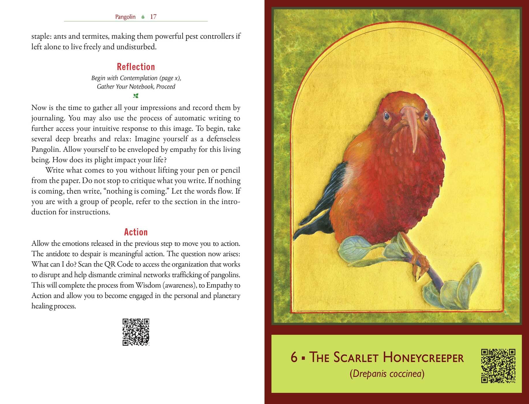 Sacred Biodiversity Oracle