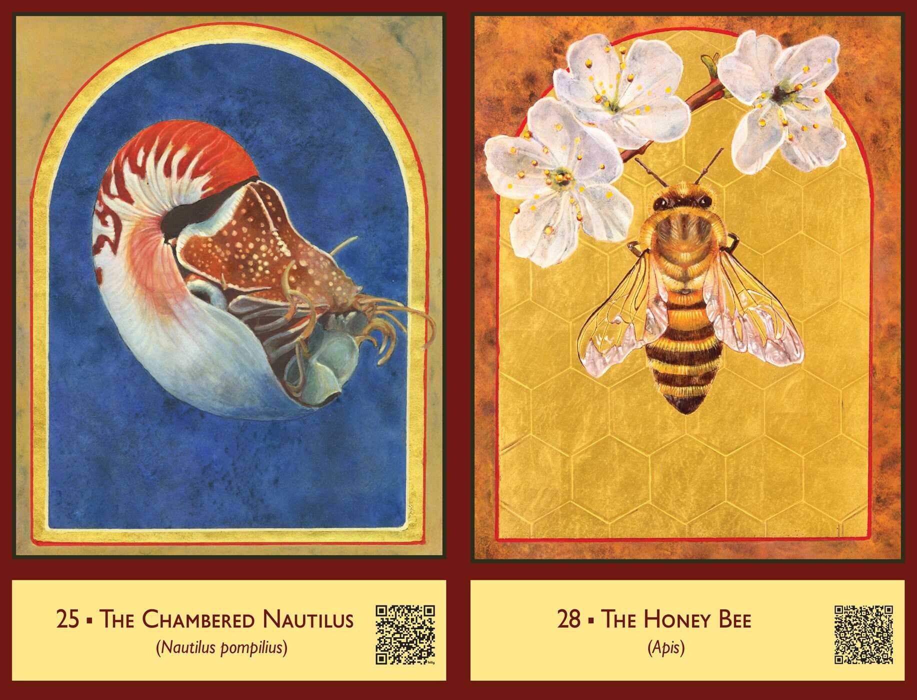 Sacred Biodiversity Oracle