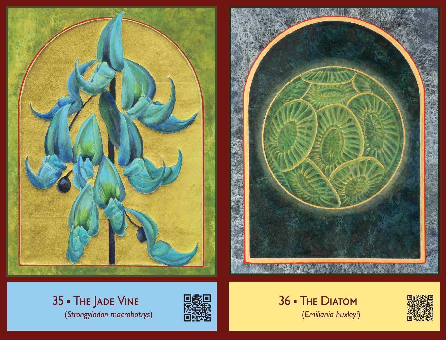 Sacred Biodiversity Oracle