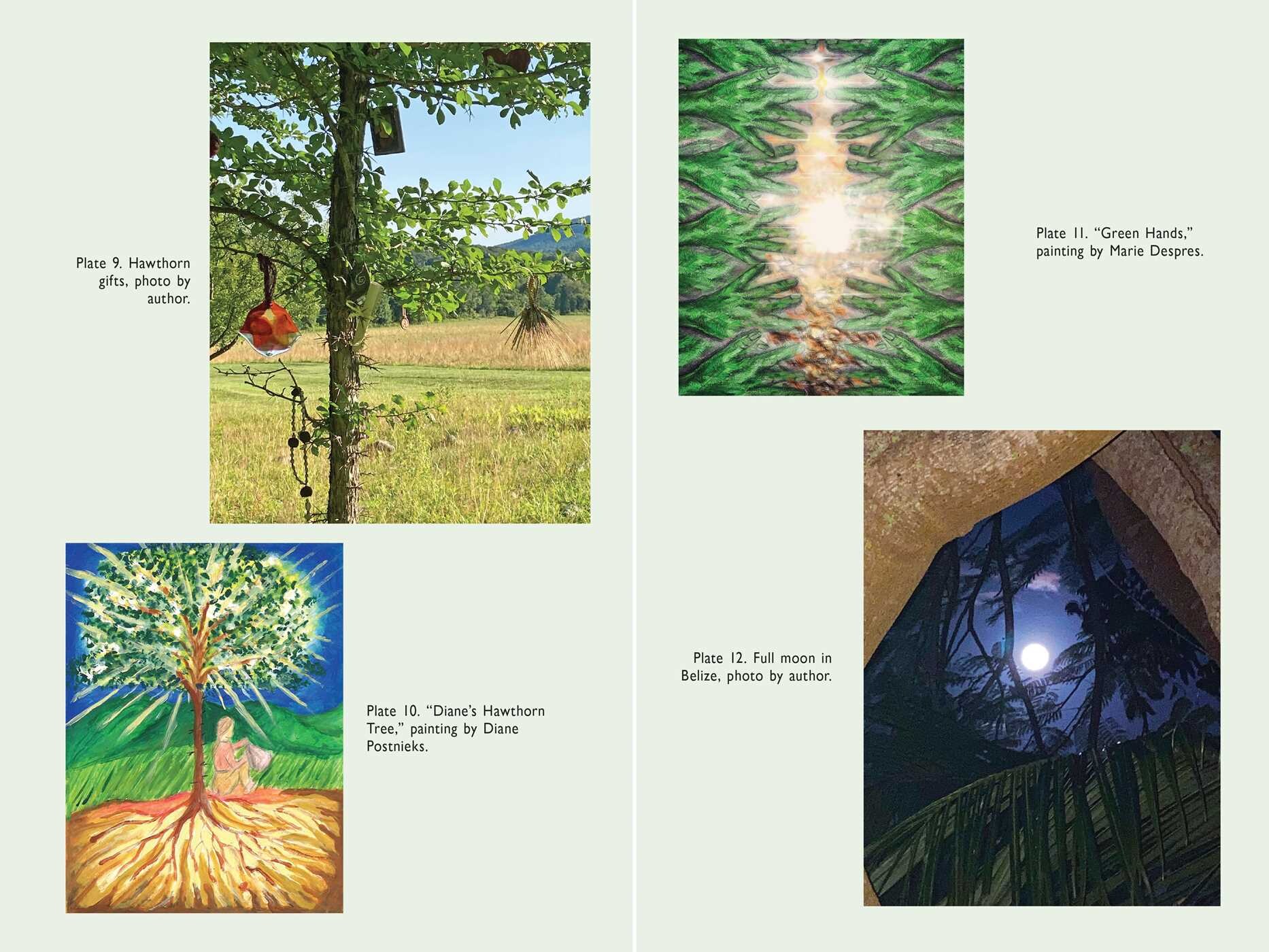 Co-Creating with Nature
