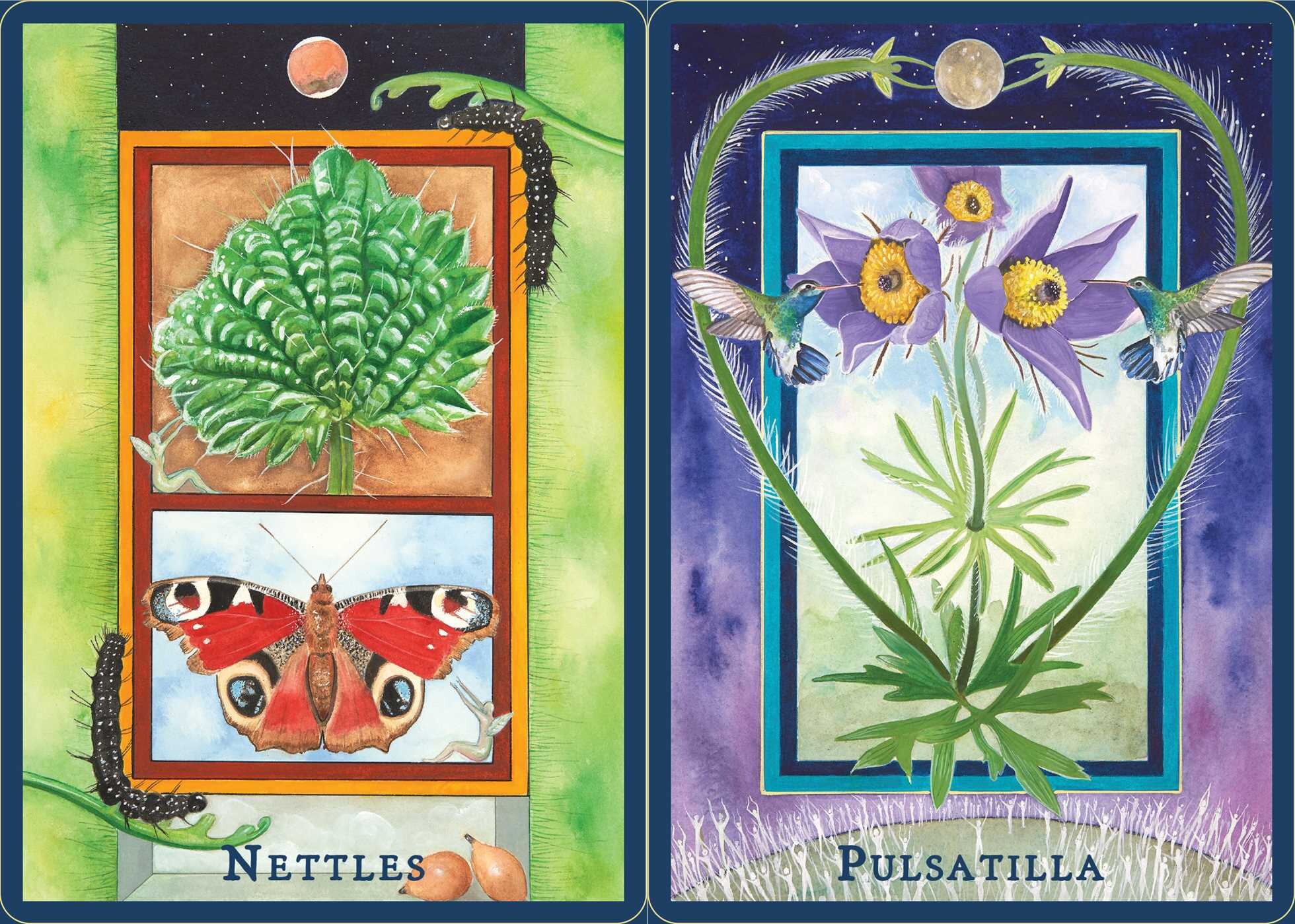 Plant Spirits Oracle