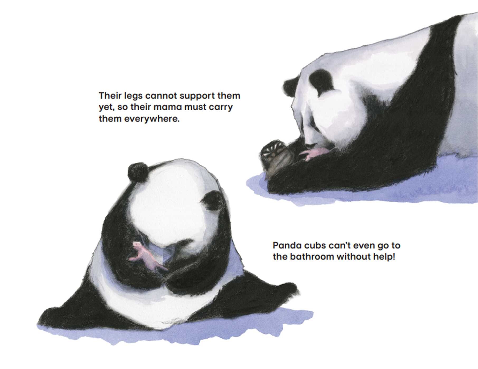 Panda Cub Swap