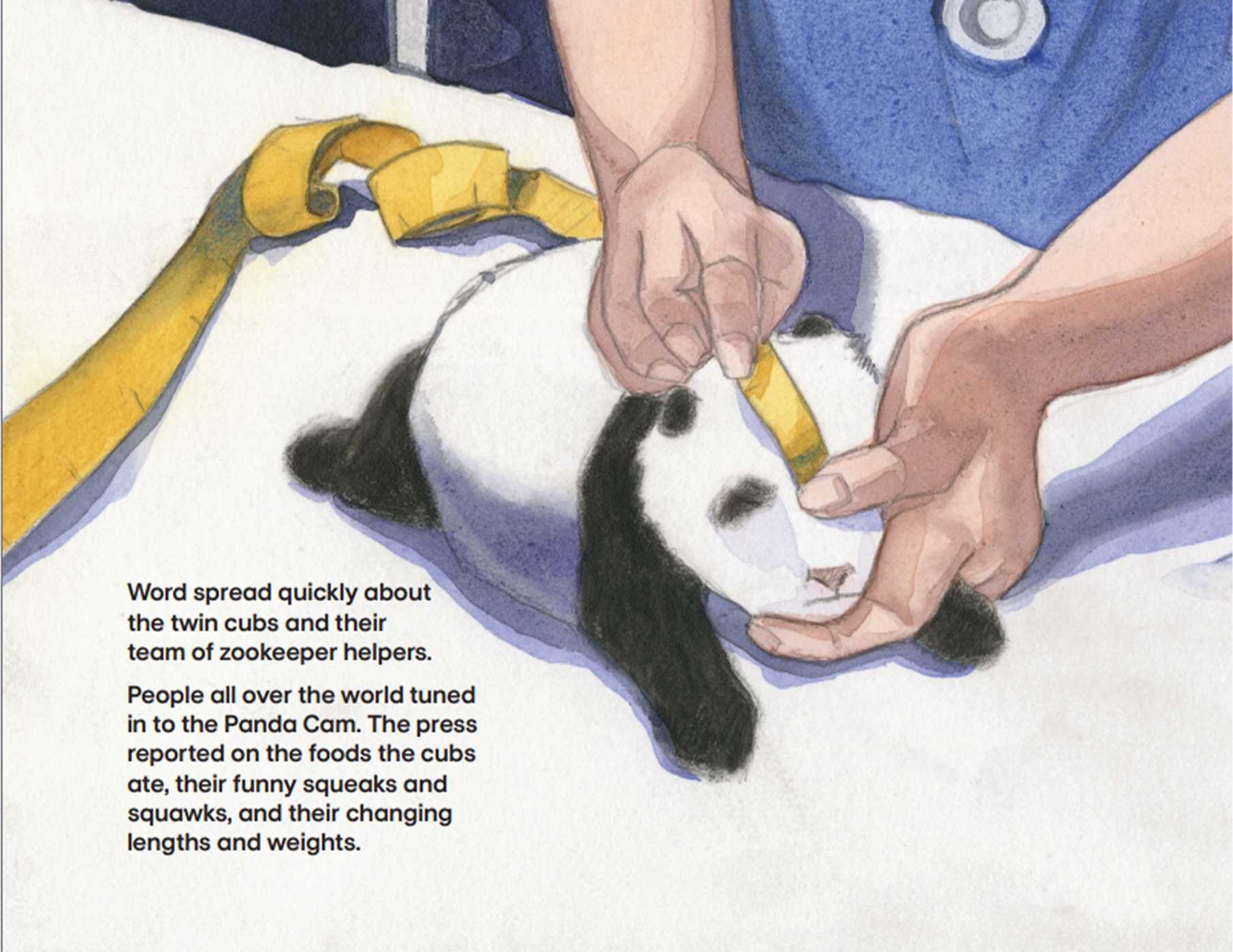 Panda Cub Swap
