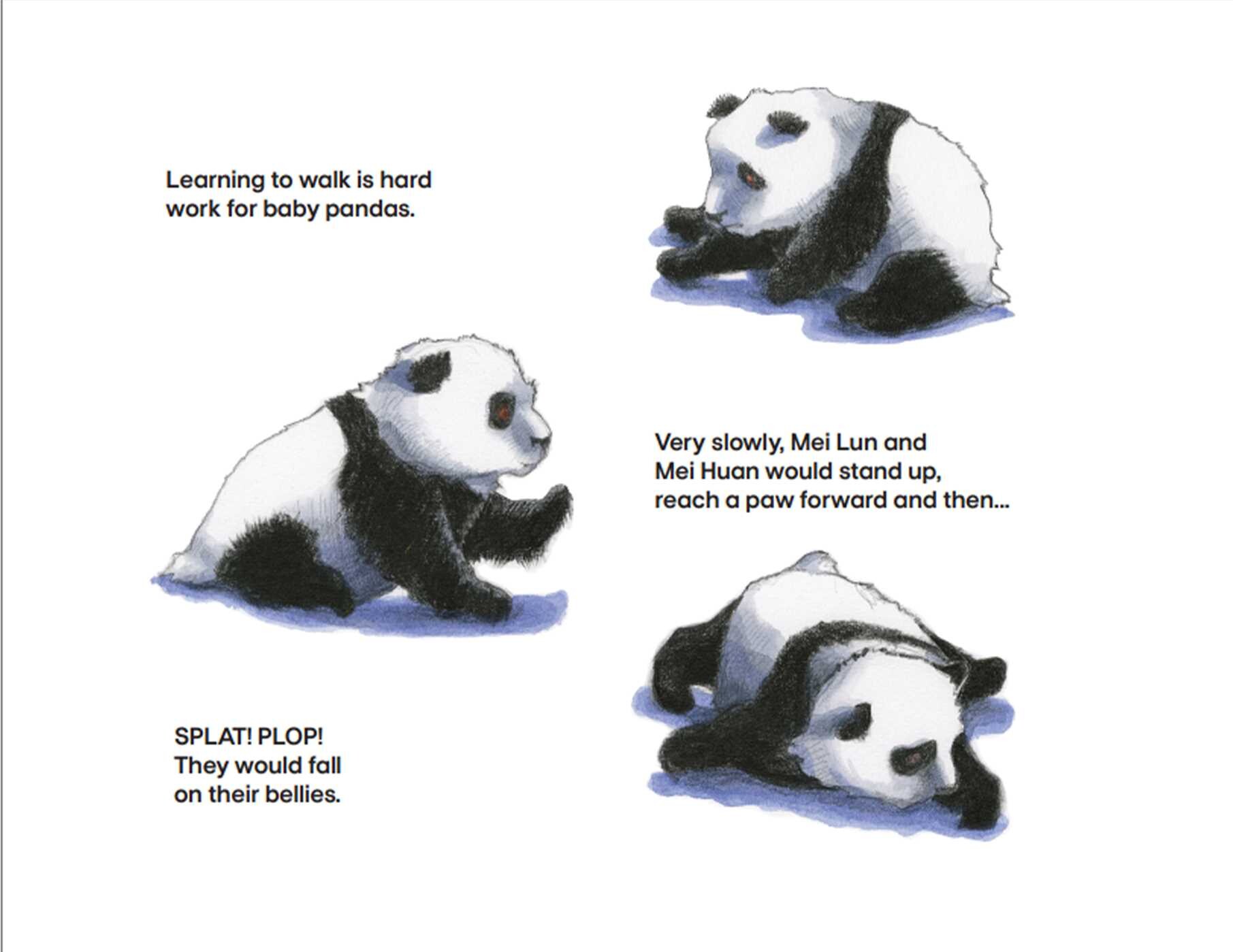 Panda Cub Swap