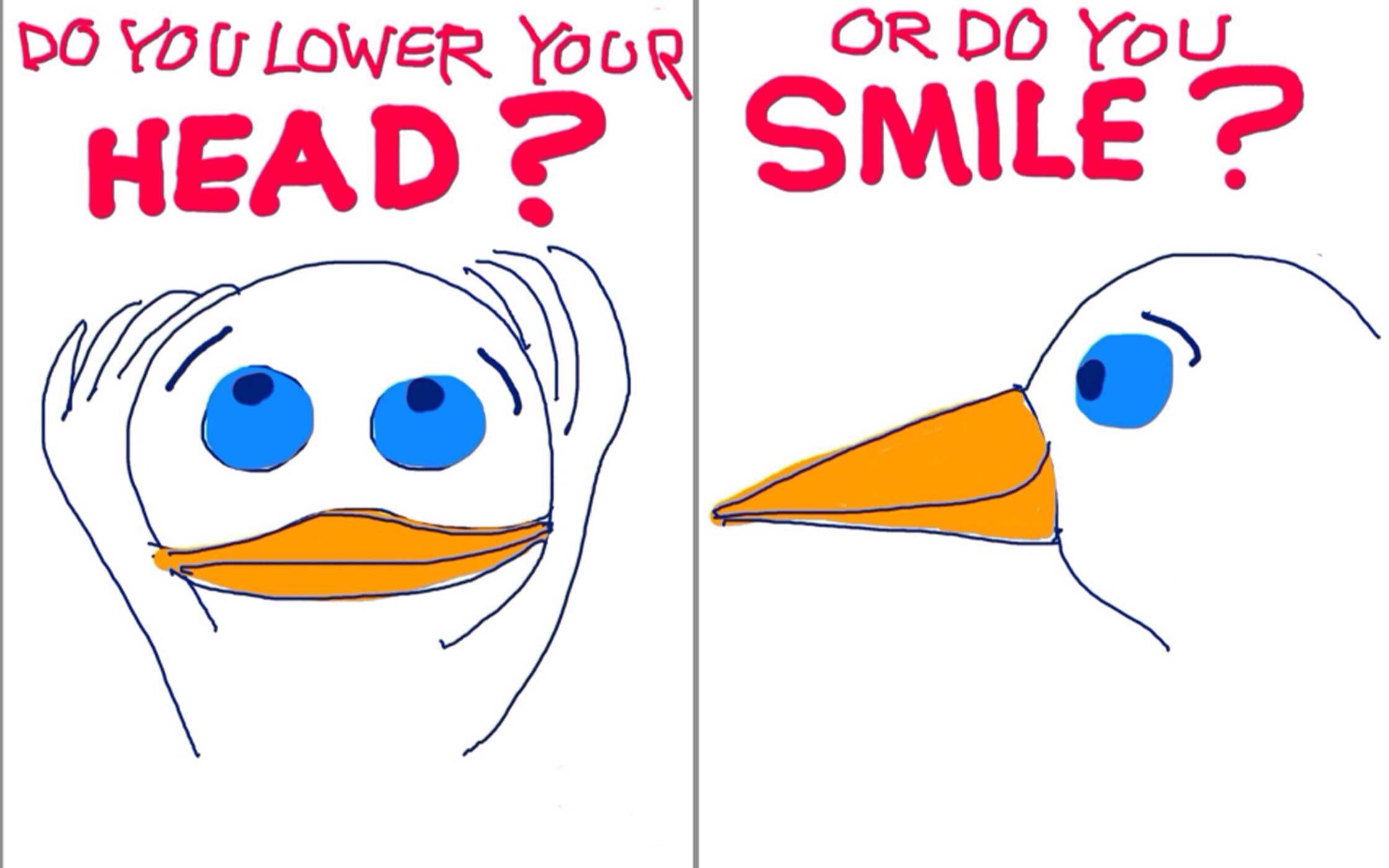 Duck Book