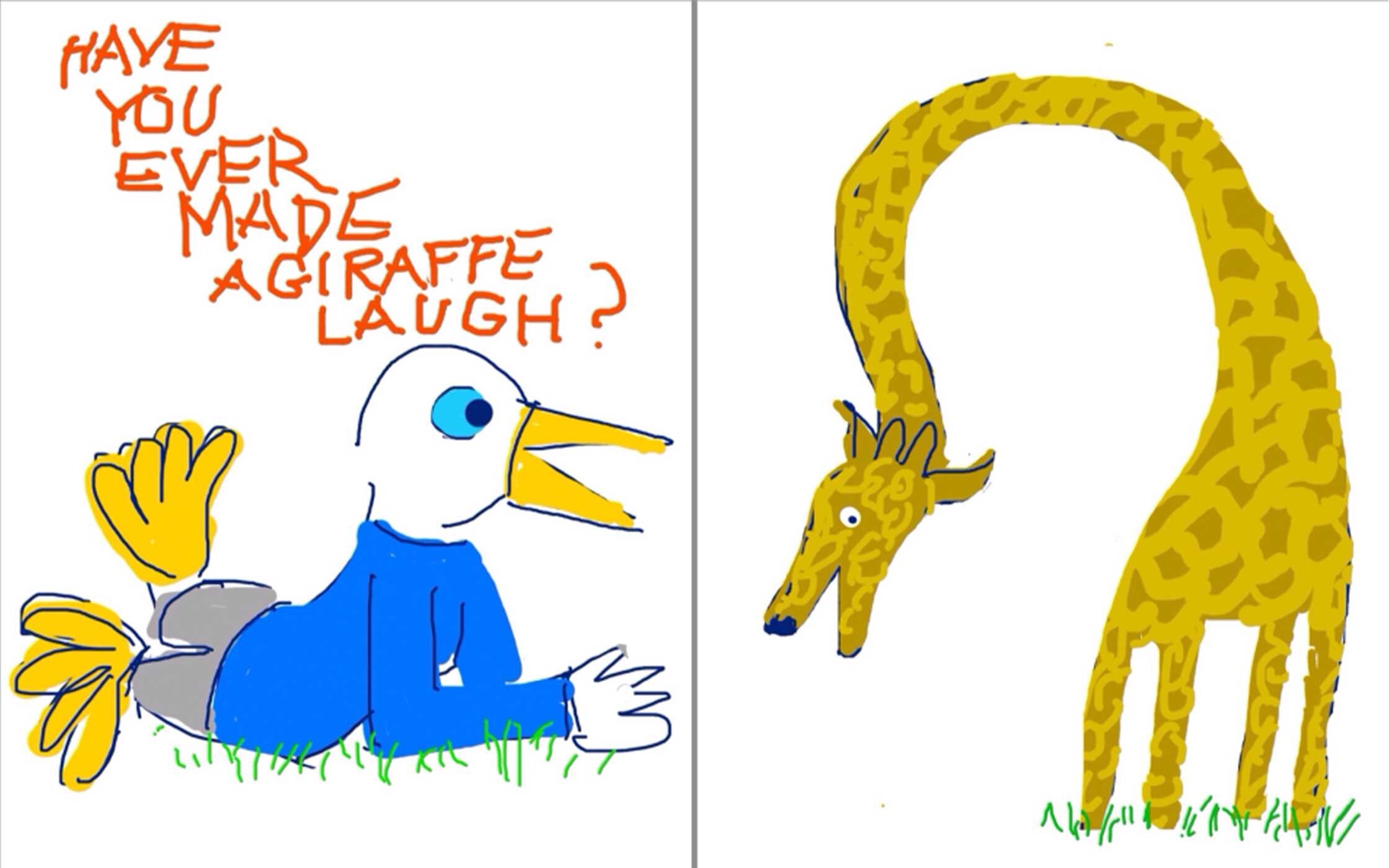 Duck Book