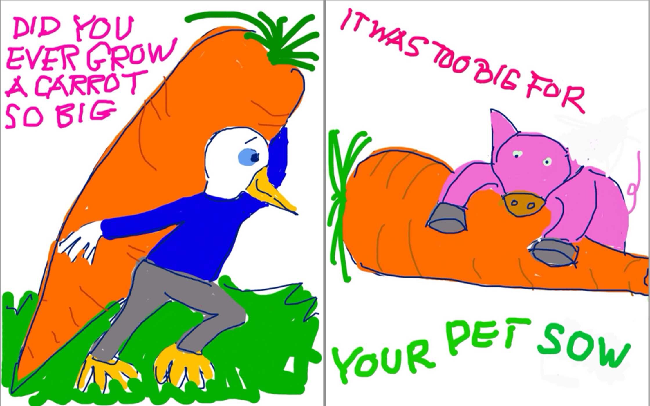 Duck Book