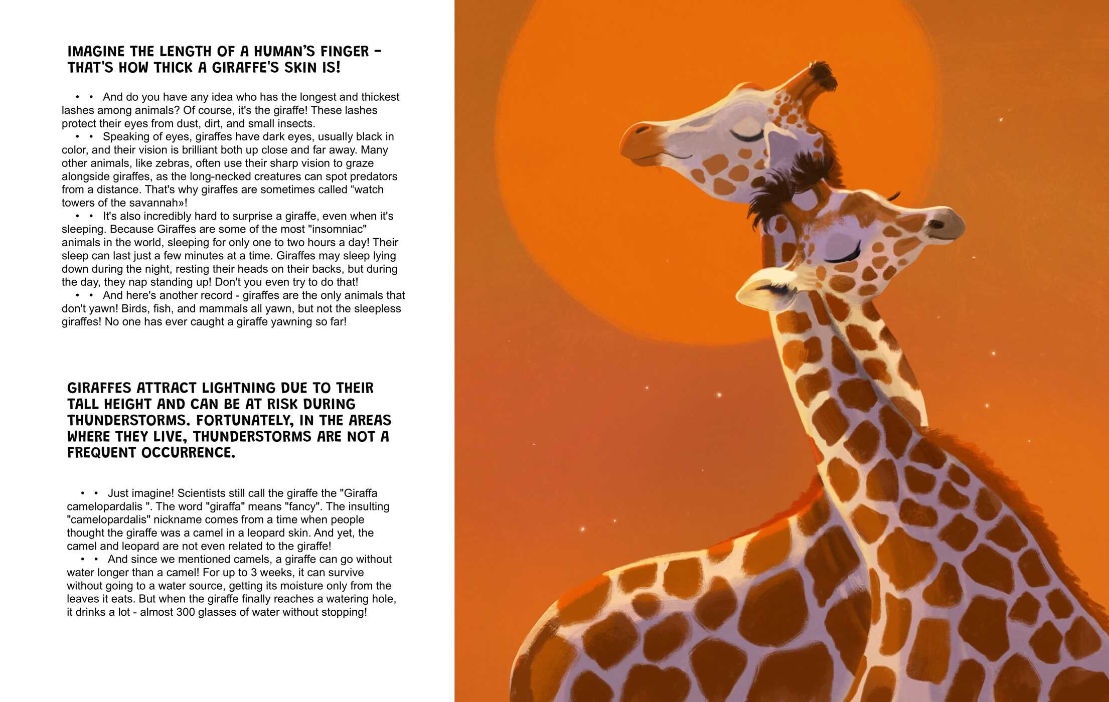 Zooest Zoo