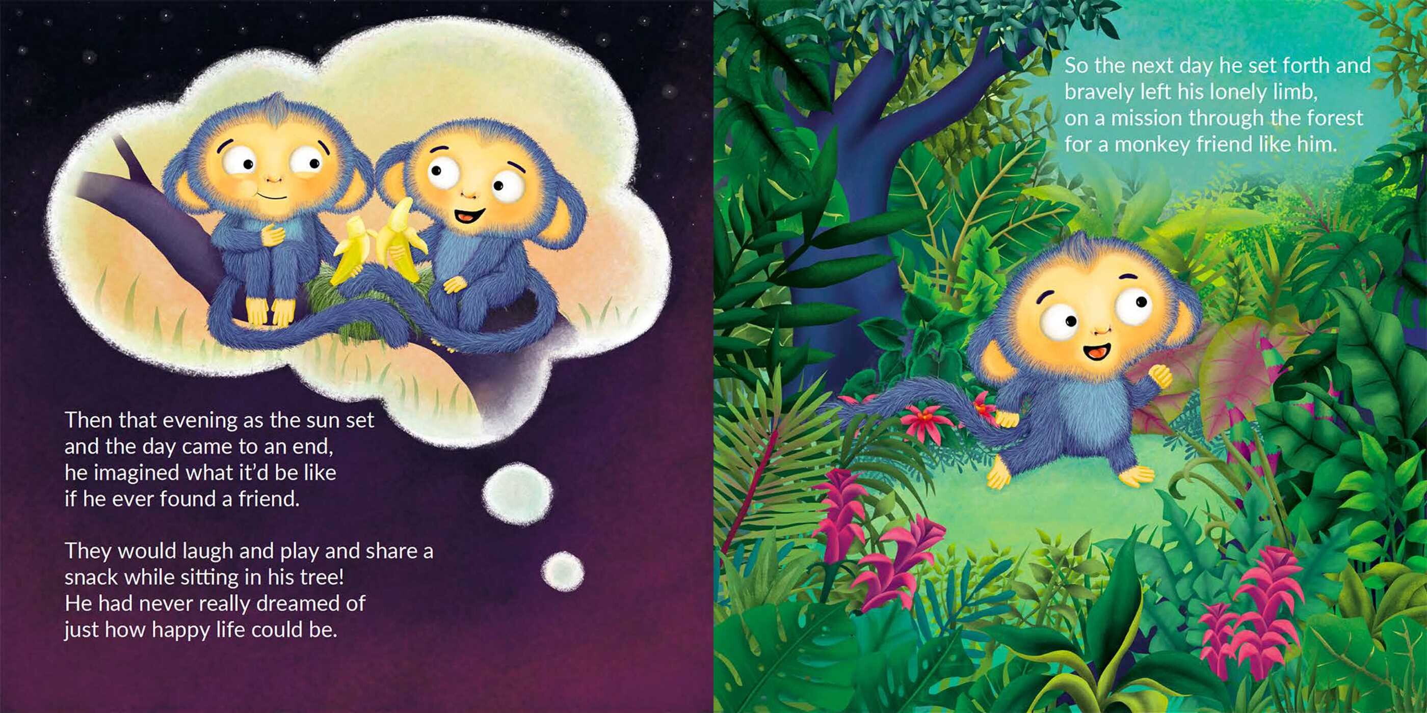 Lonely Little Monkey