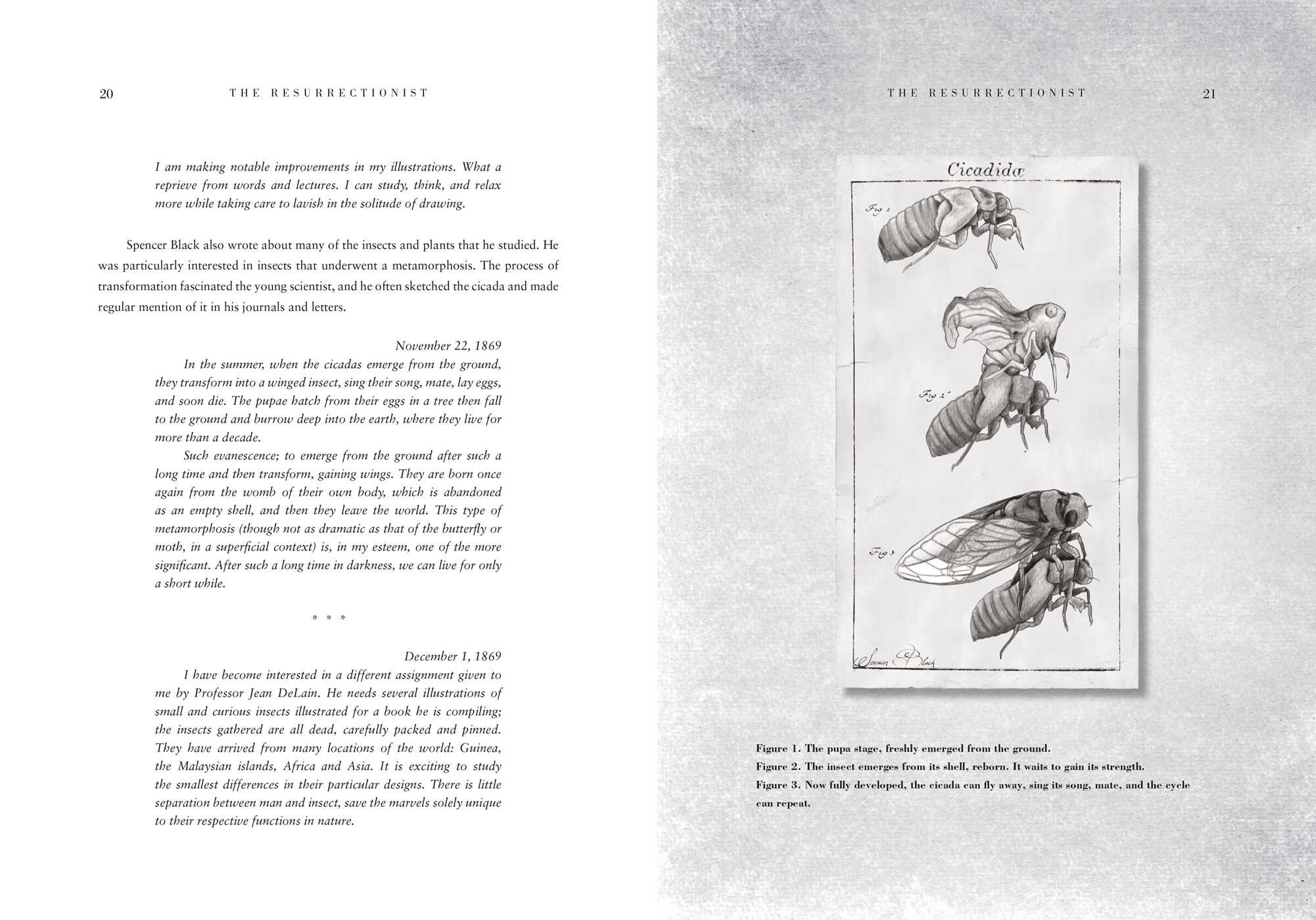 Resurrectionist