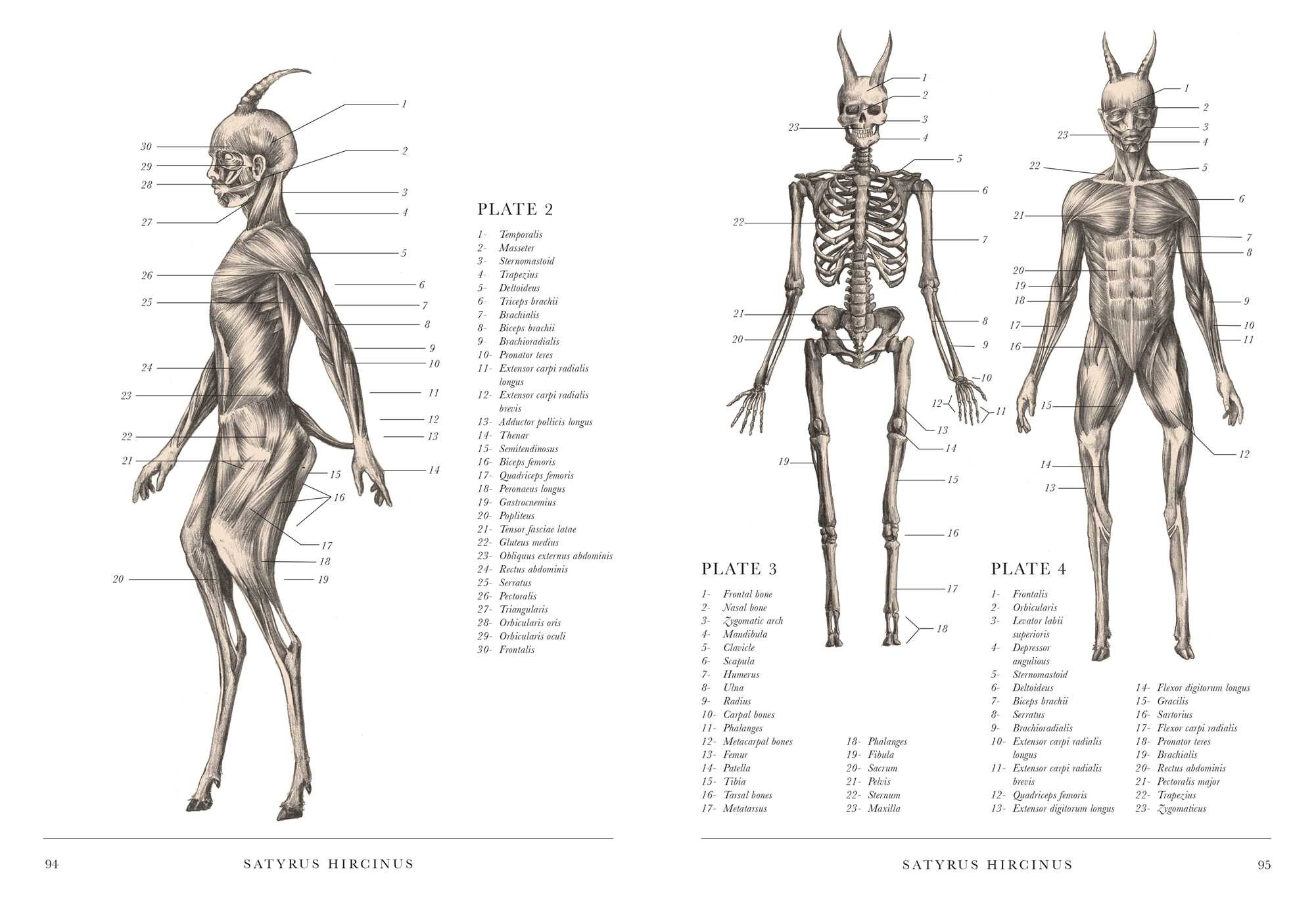 Resurrectionist