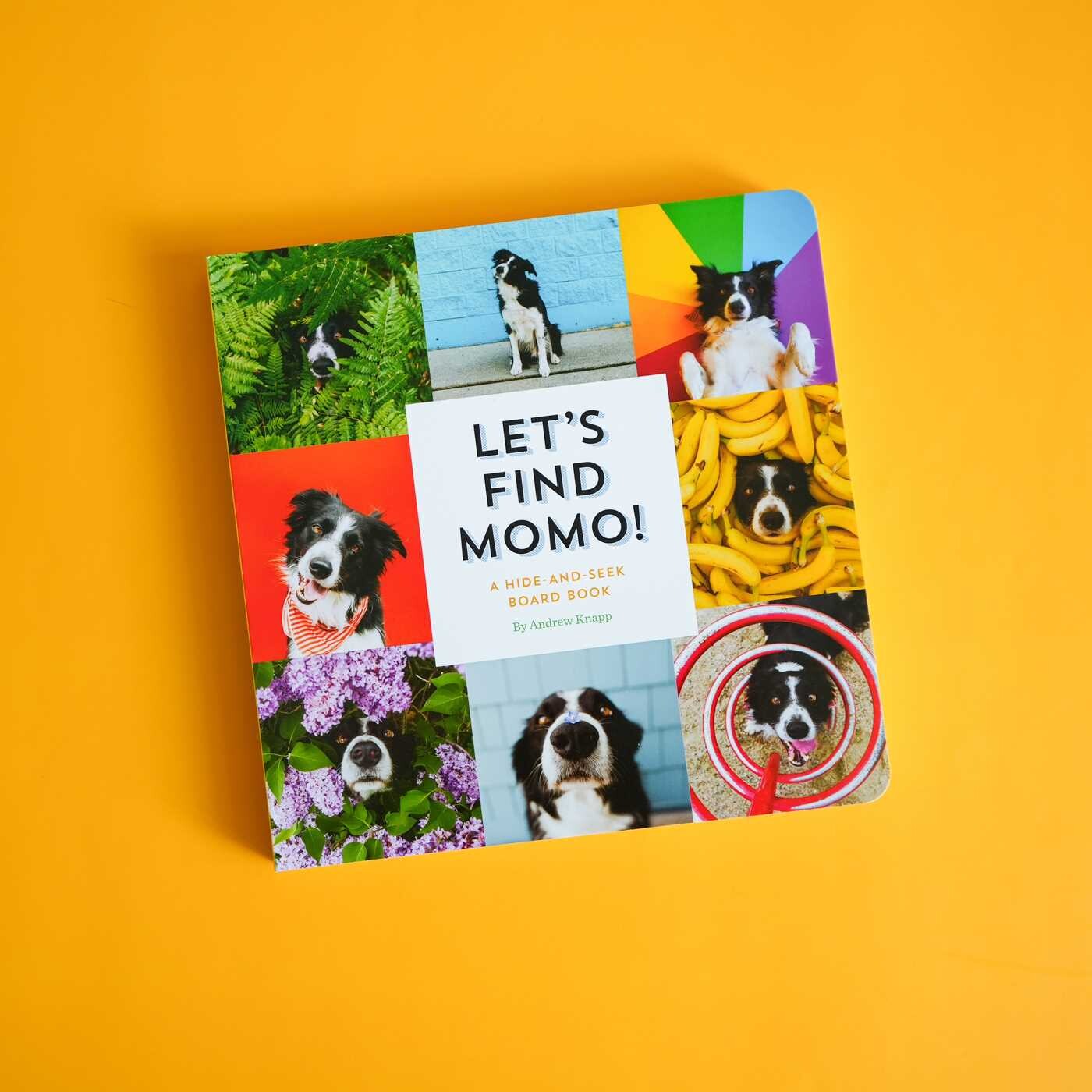 Let's Find Momo!