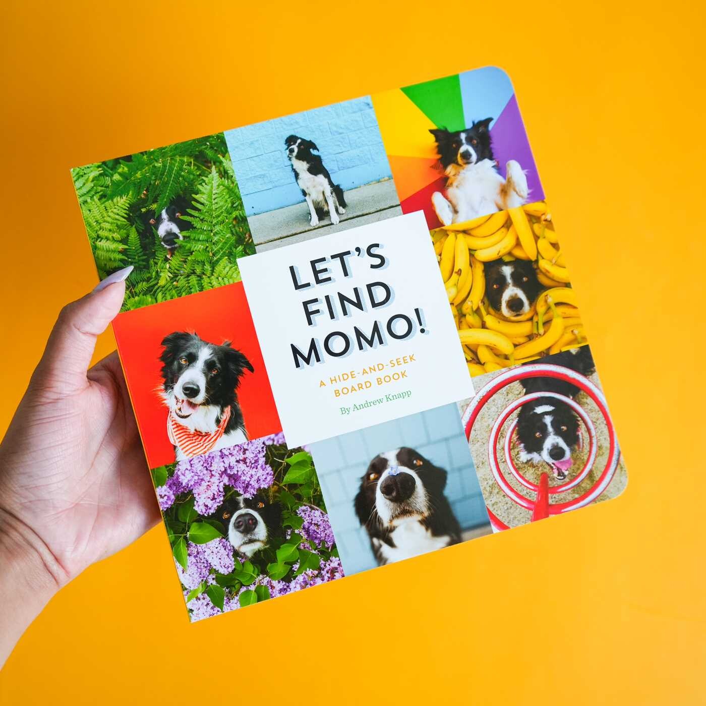 Let's Find Momo!