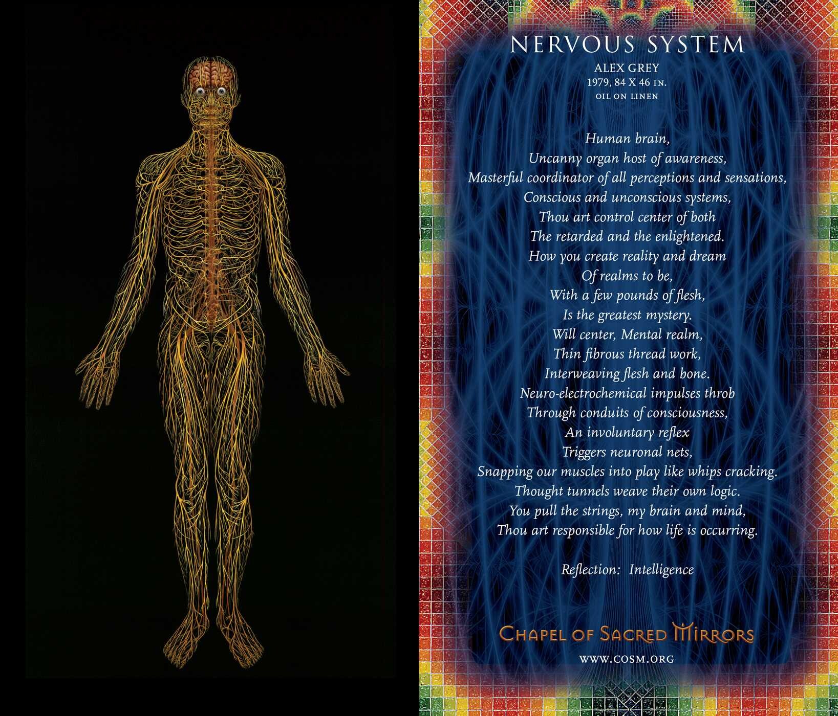 Sacred Mirrors Cards