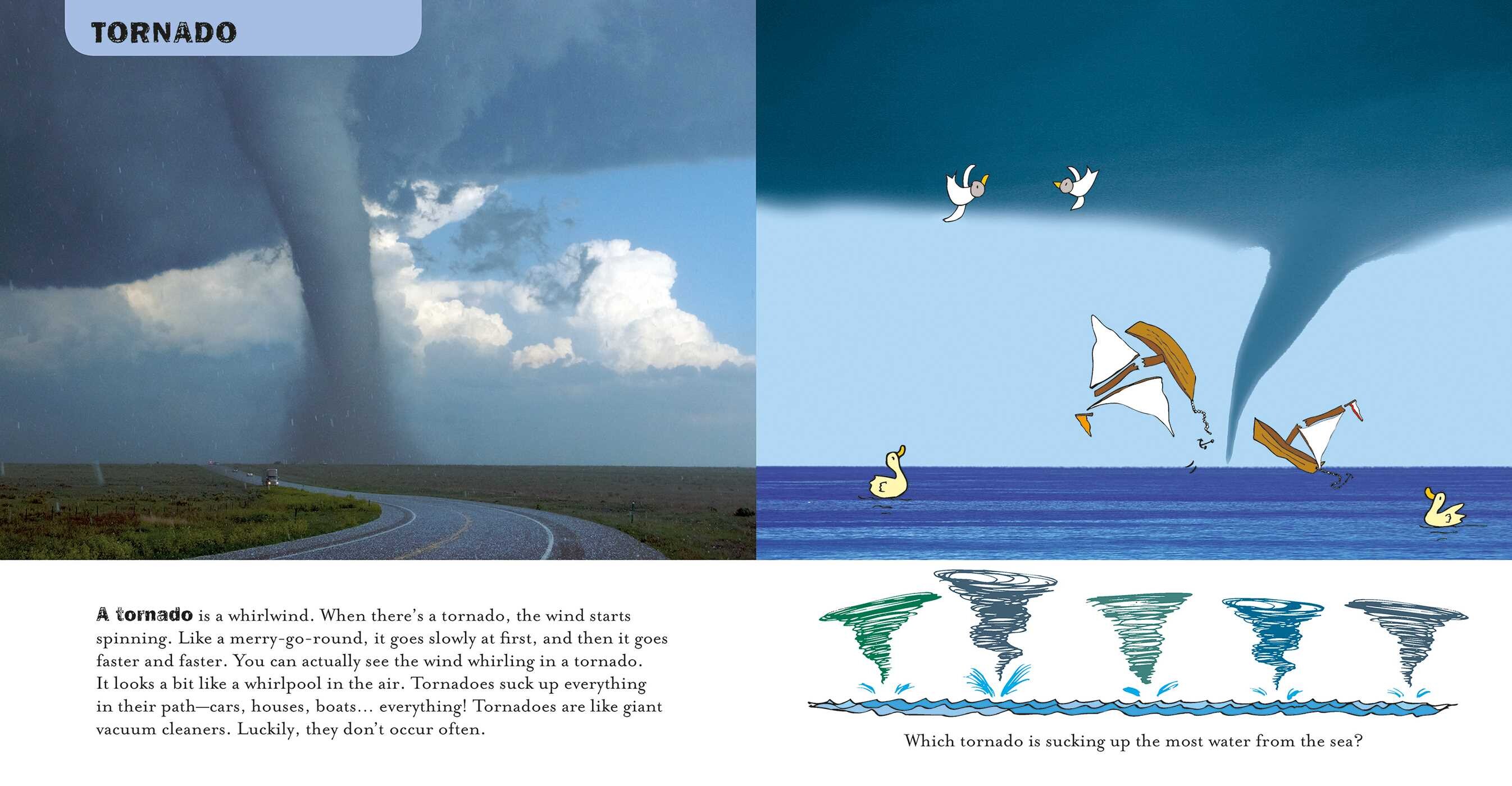 All About the Weather