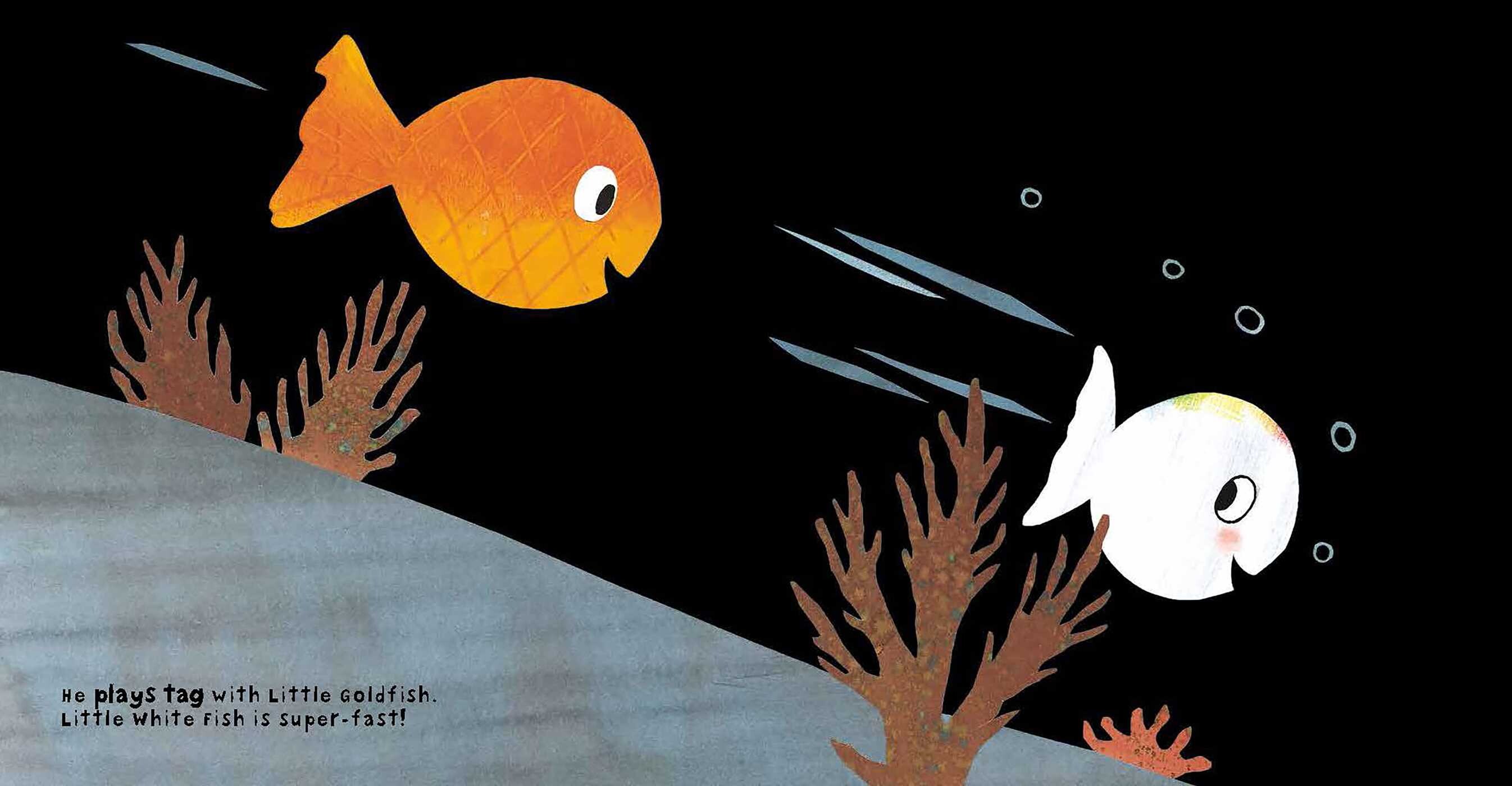 Little White Fish Has Many Friends