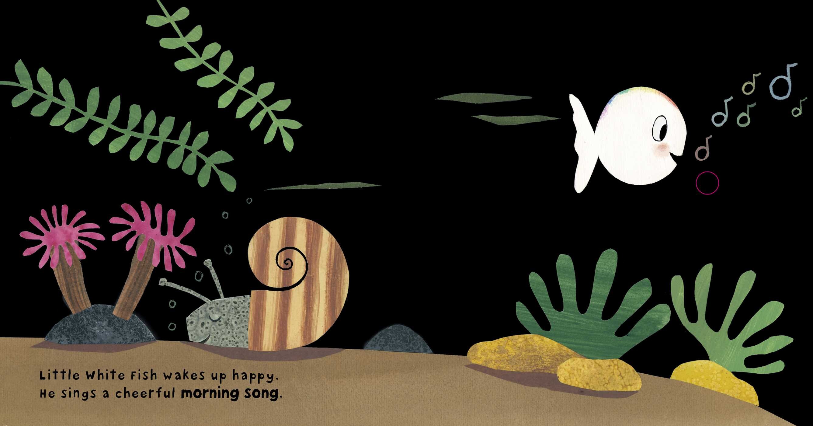 Little White Fish Hears Water Music