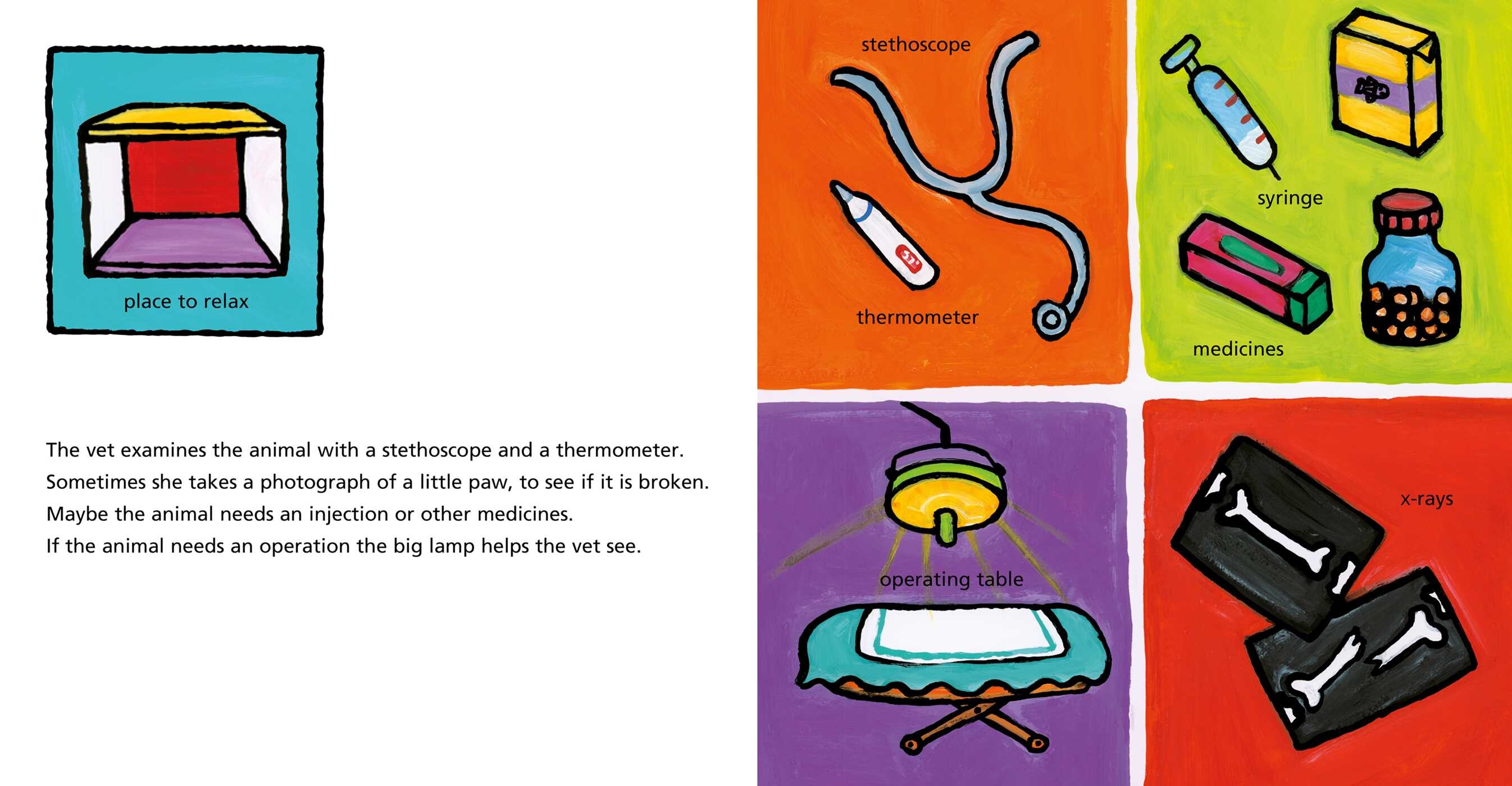 Veterinarians and What They Do
