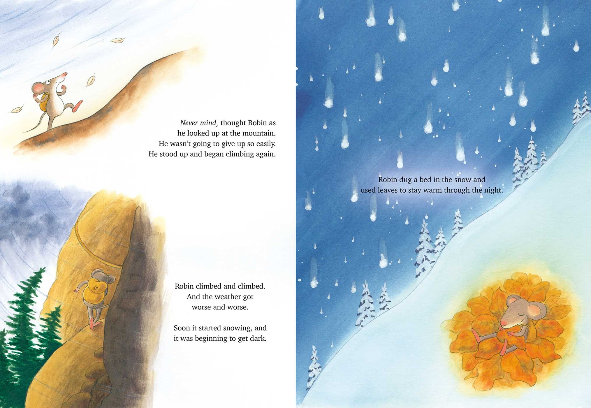 Robin's Christmas Journey