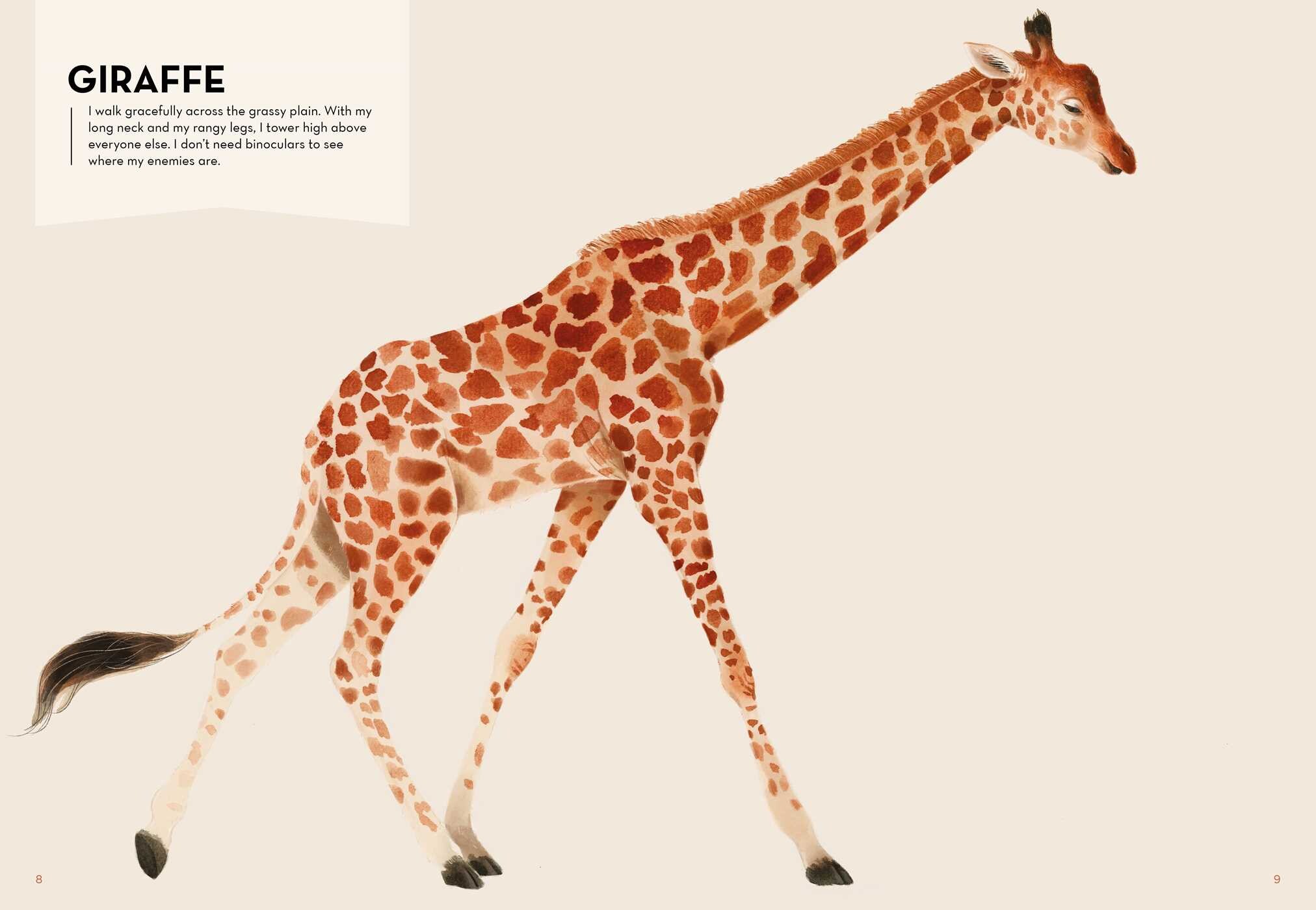 Largest