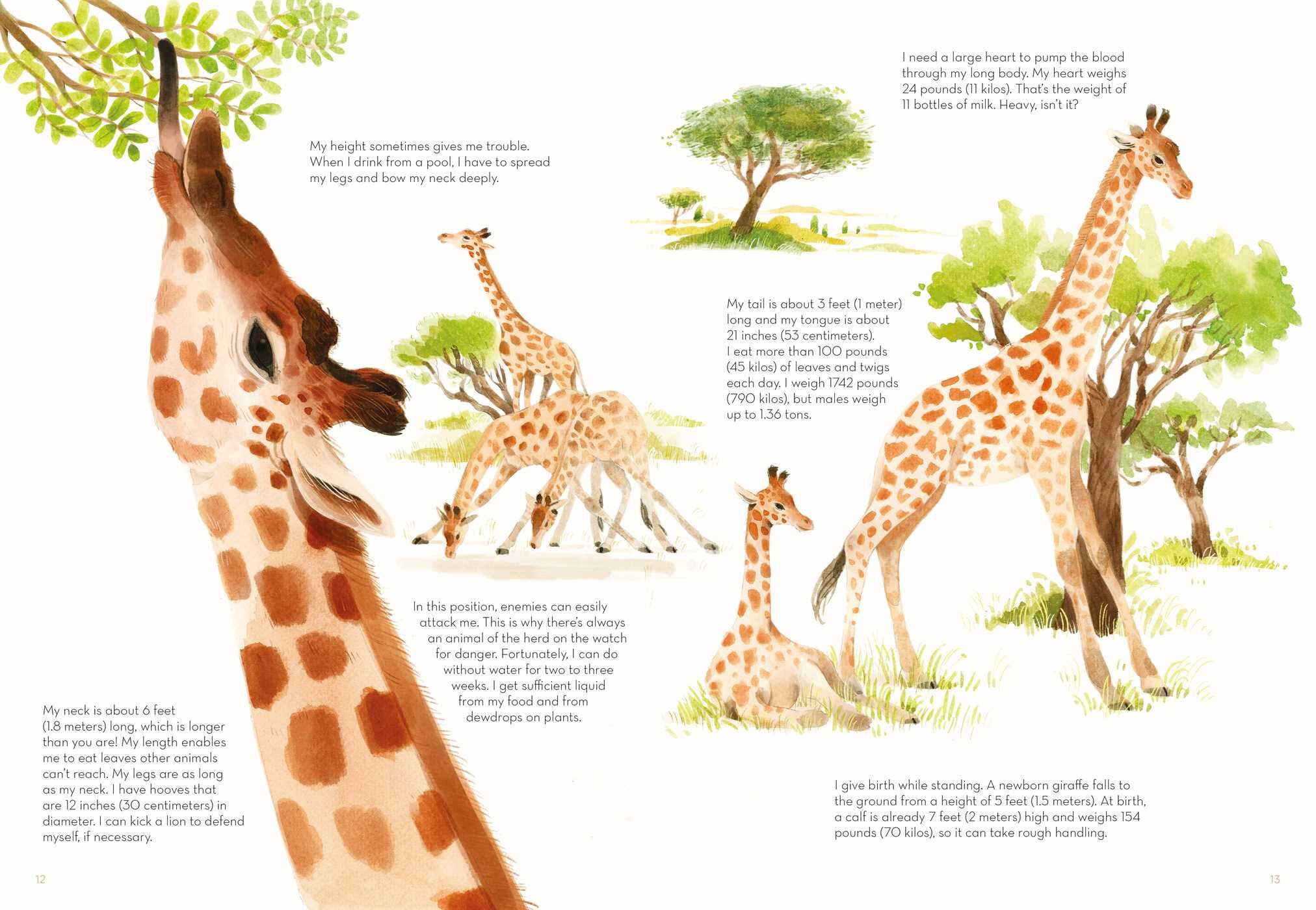Largest
