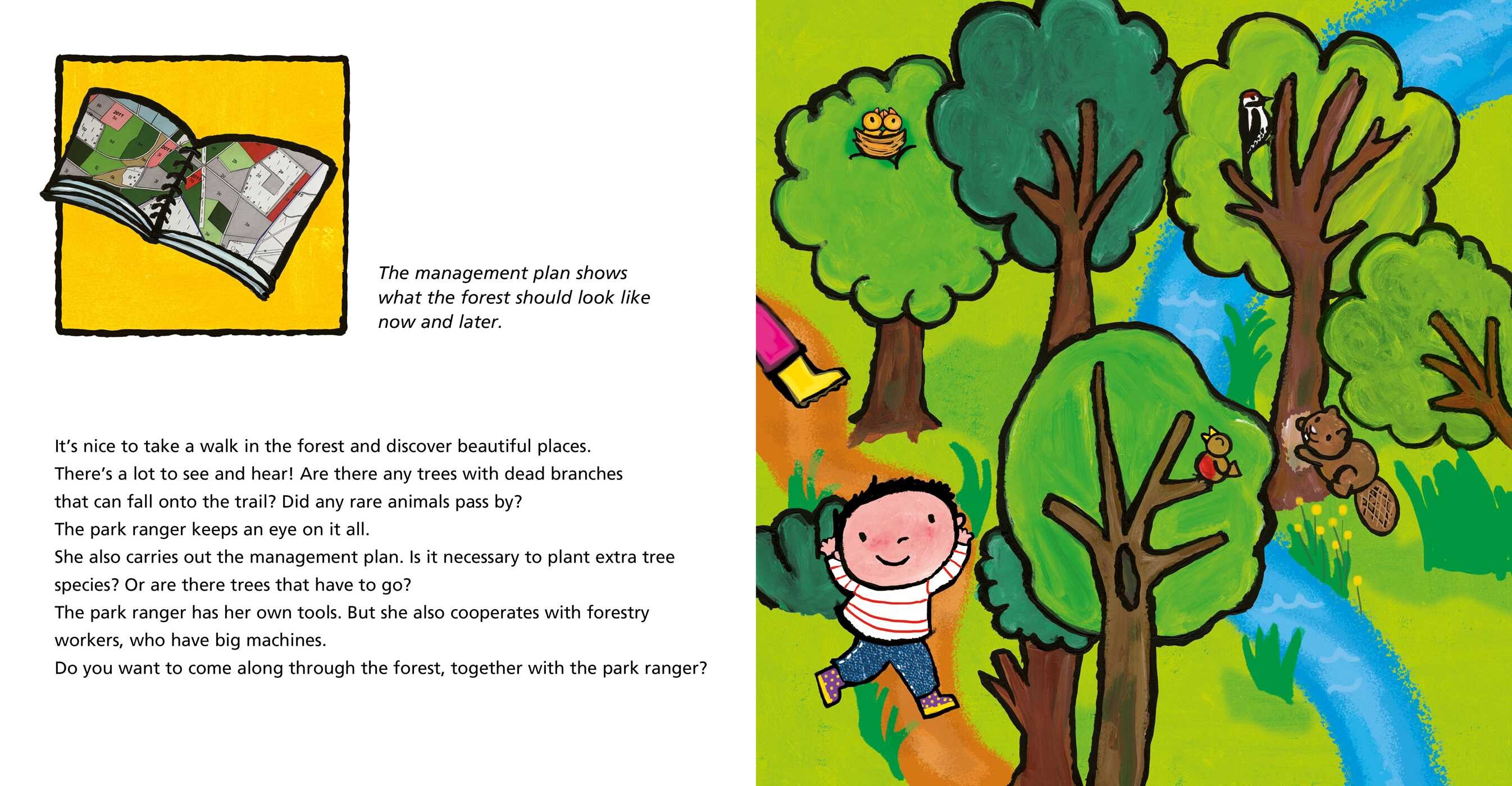 Park Rangers and What They Do
