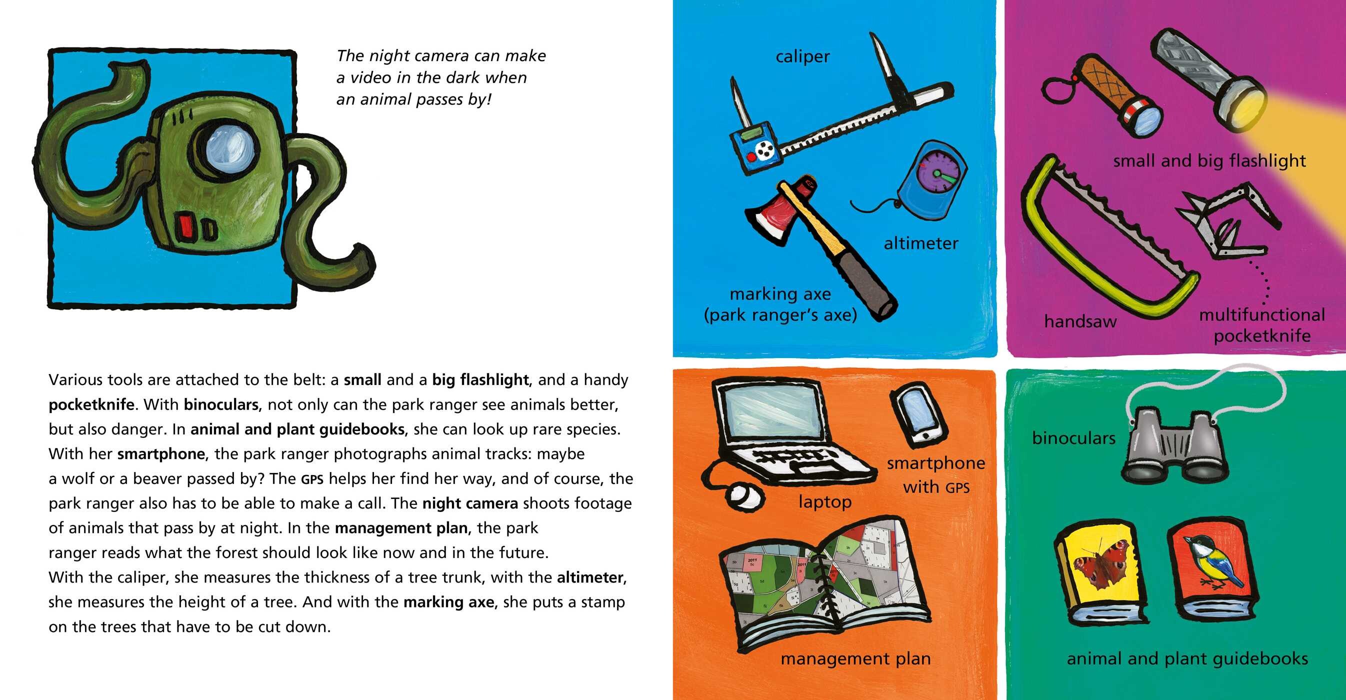 Park Rangers and What They Do