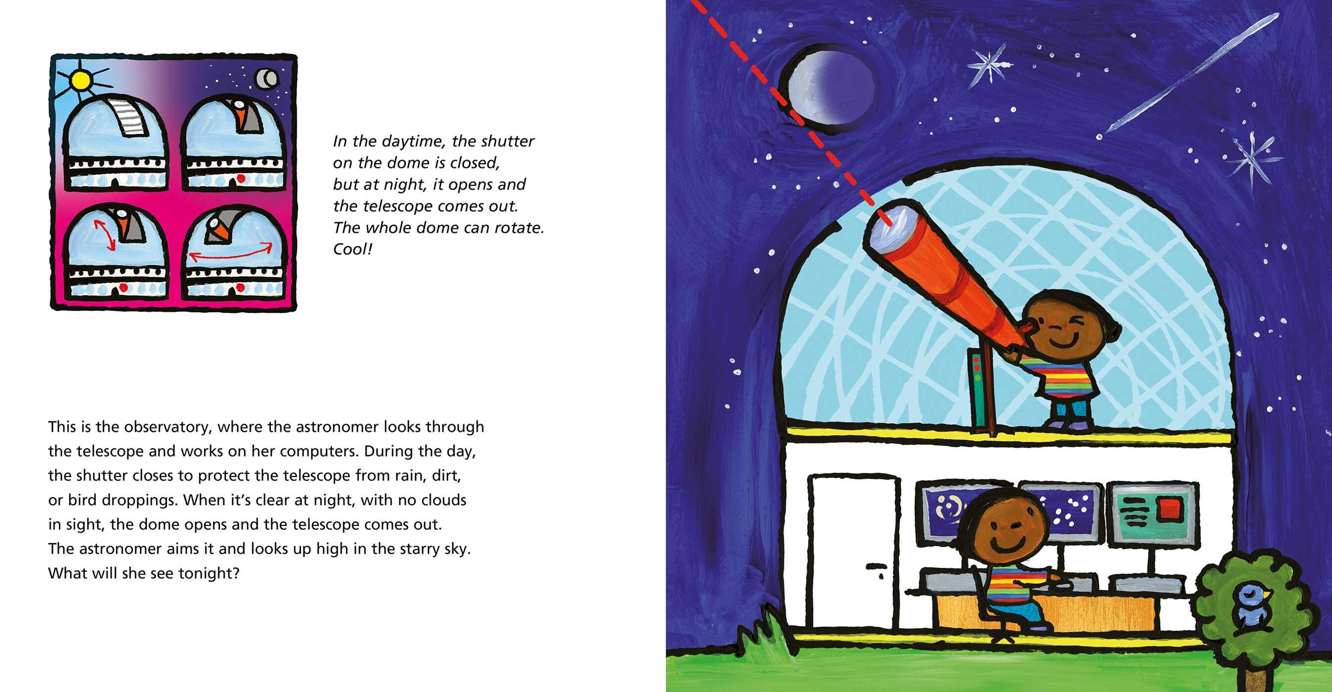Astronomers and What They Do