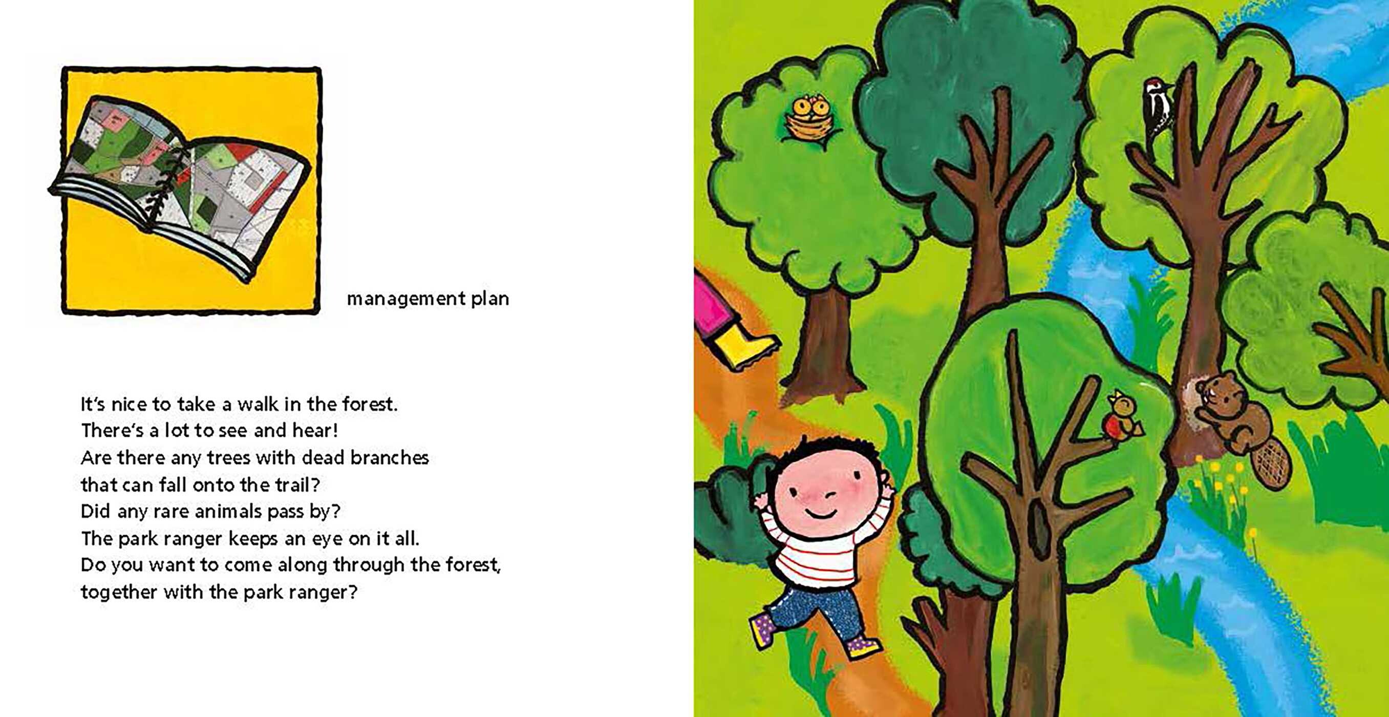 Park Rangers and What They Do