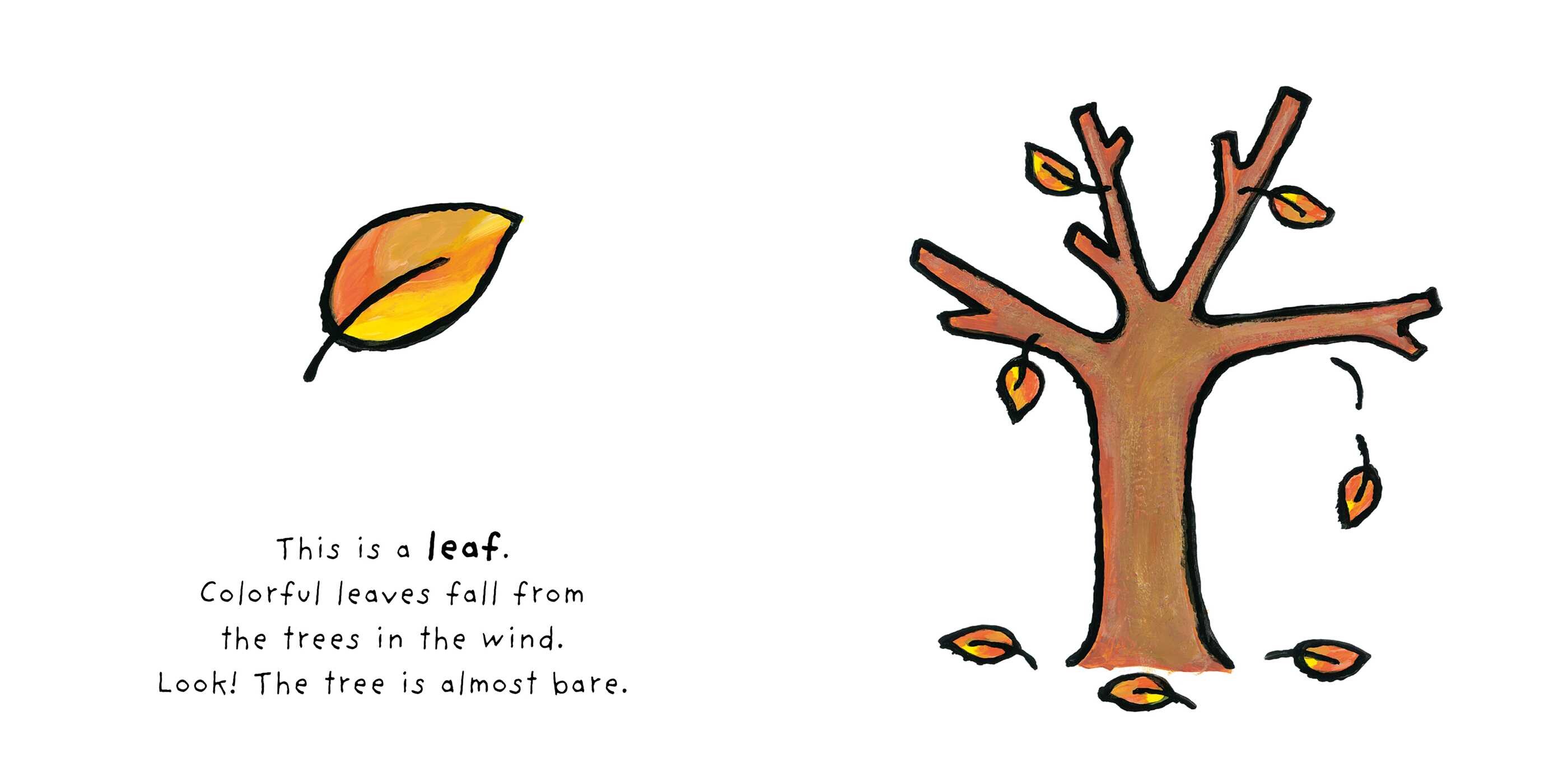 Fall and Winter