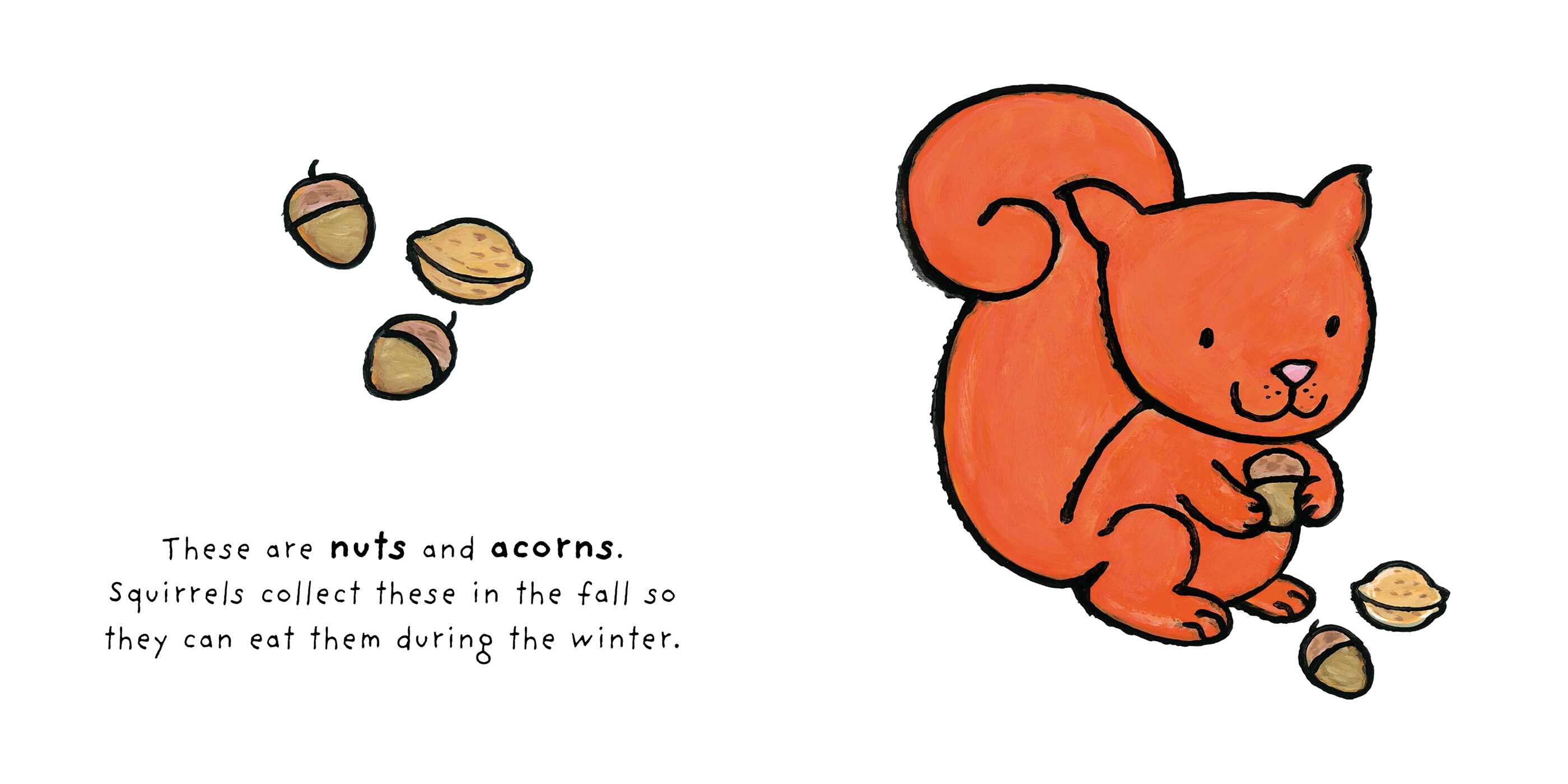 Fall and Winter