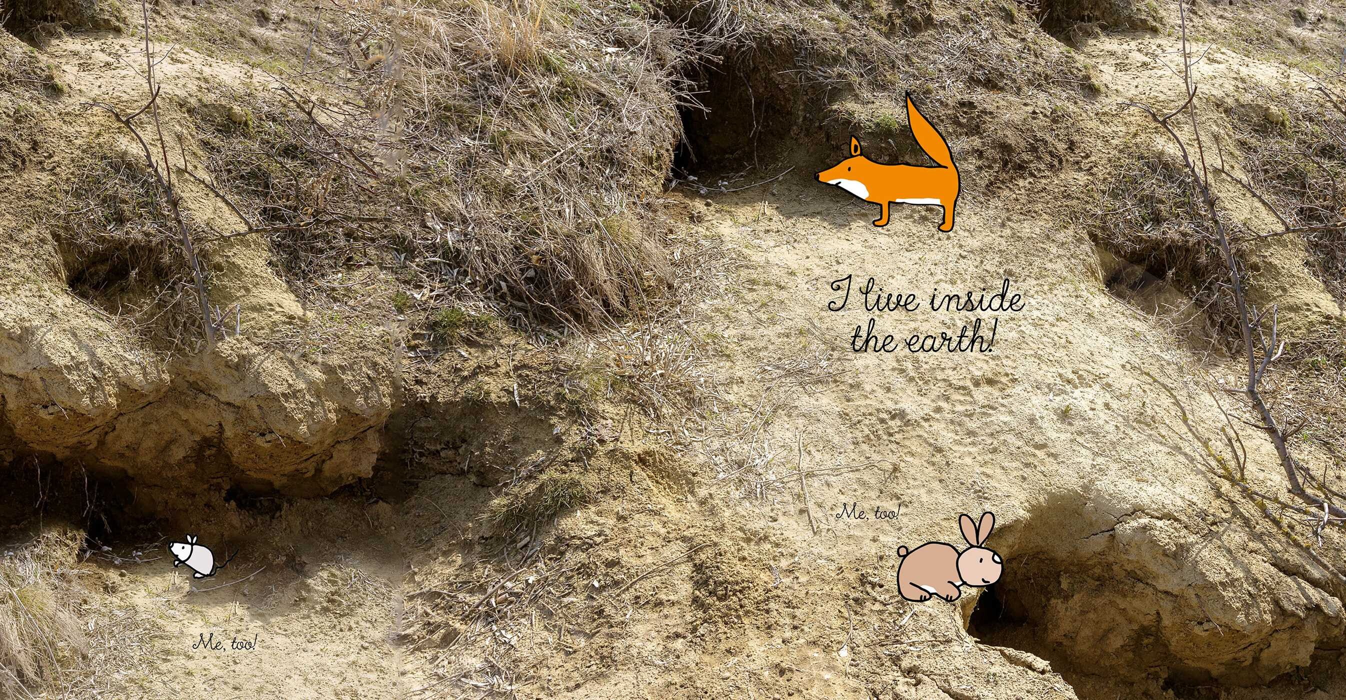 Underneath the Earth's Crust