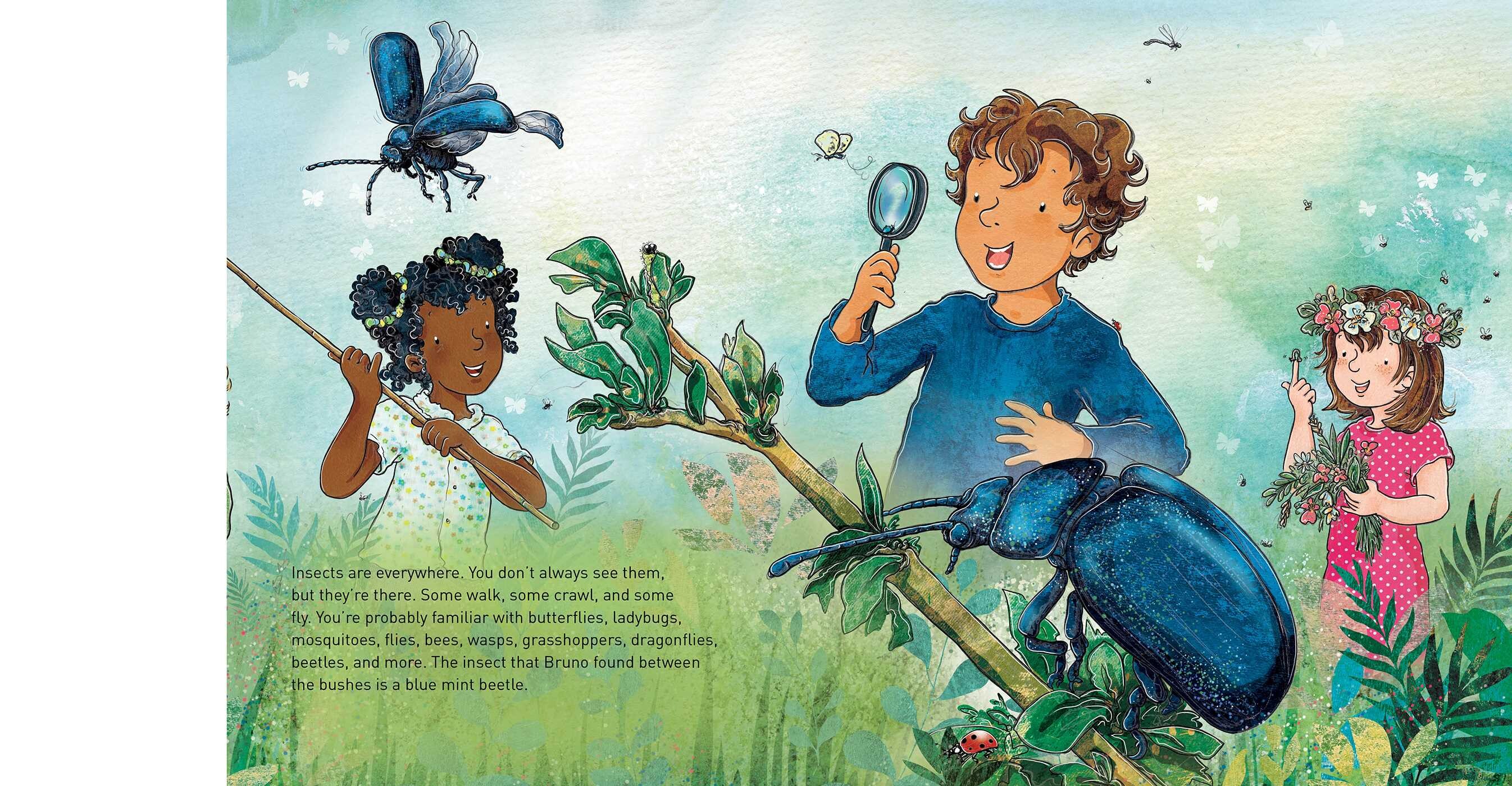 Insects