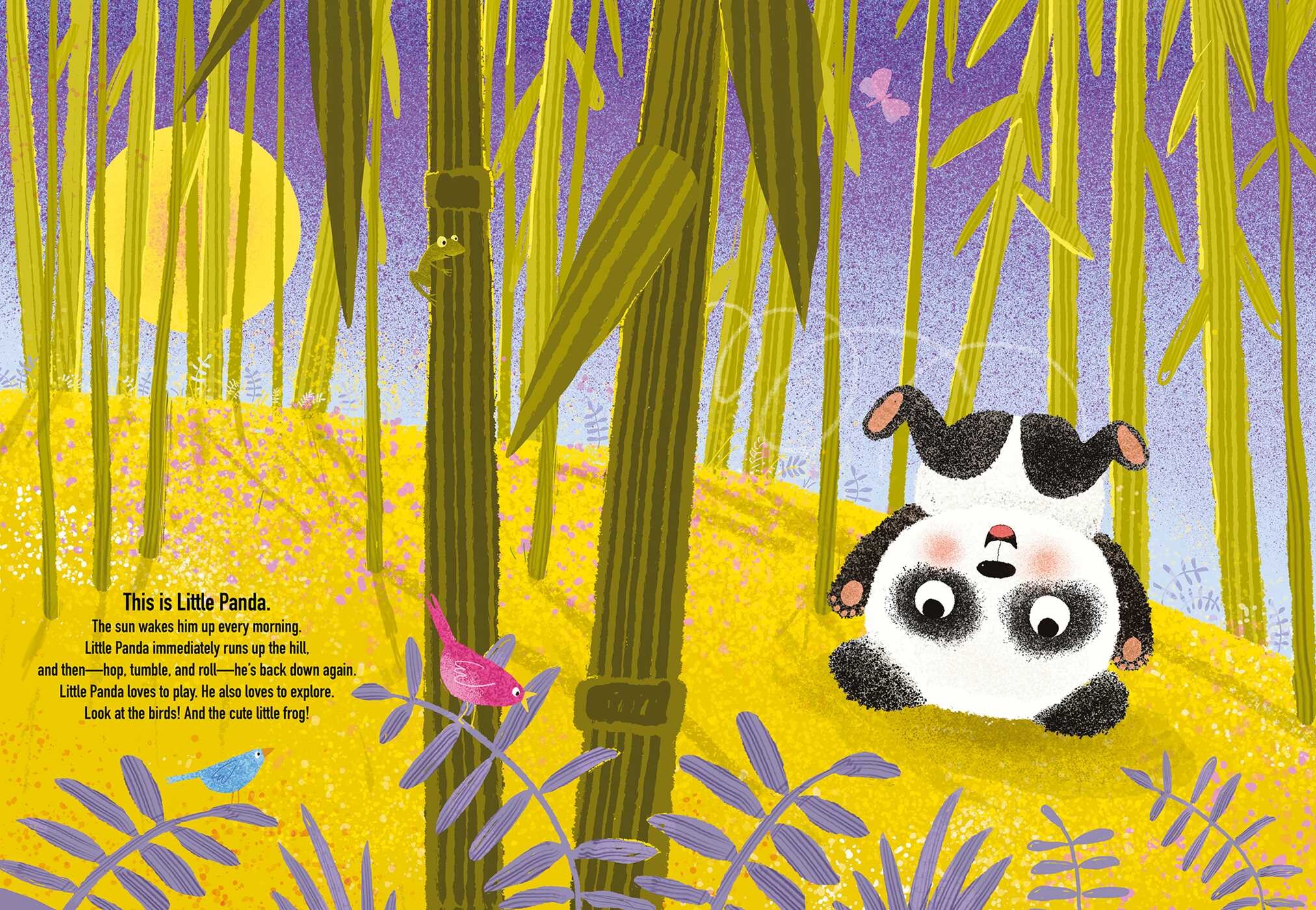 Big Panda and Little Panda