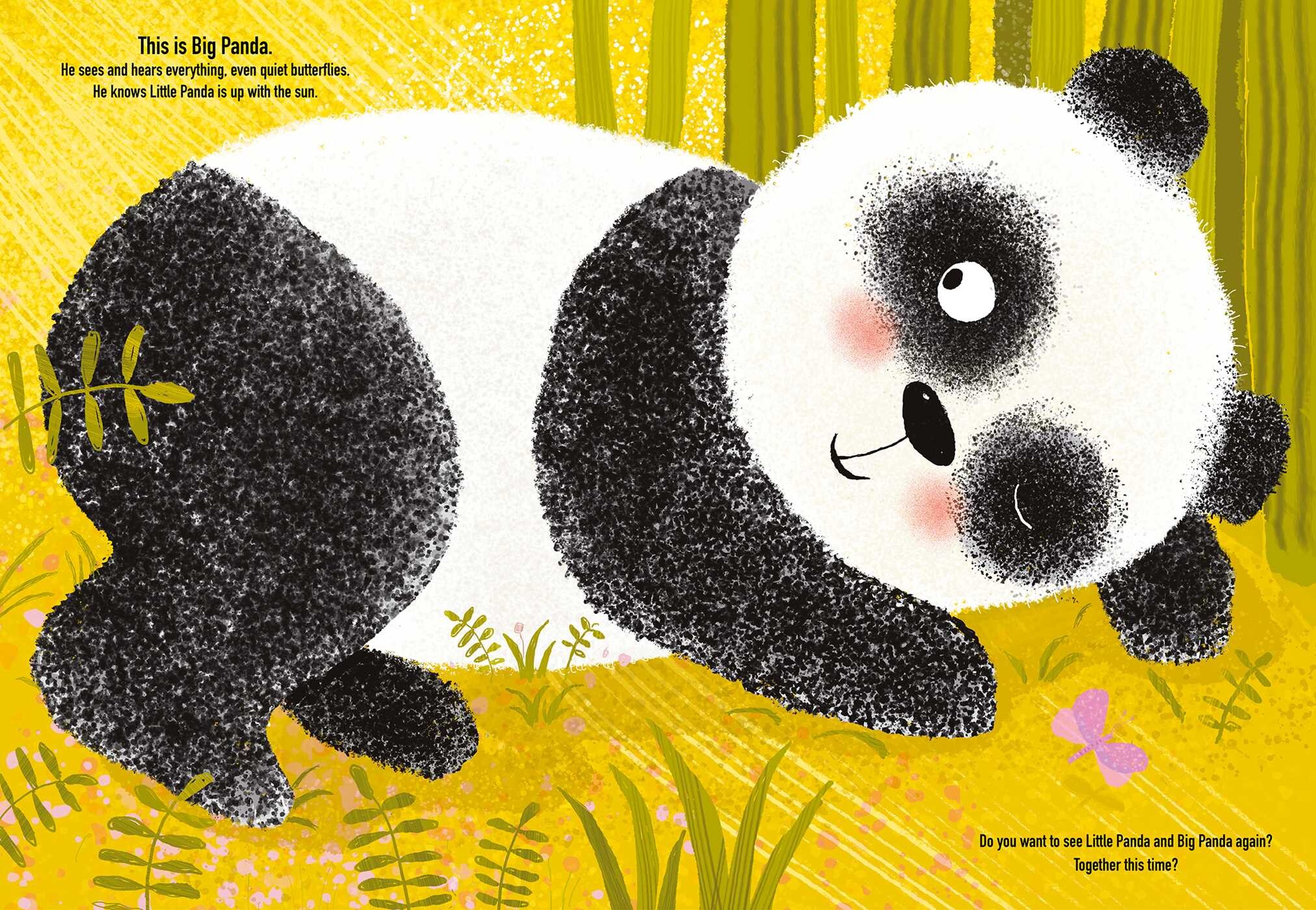 Big Panda and Little Panda