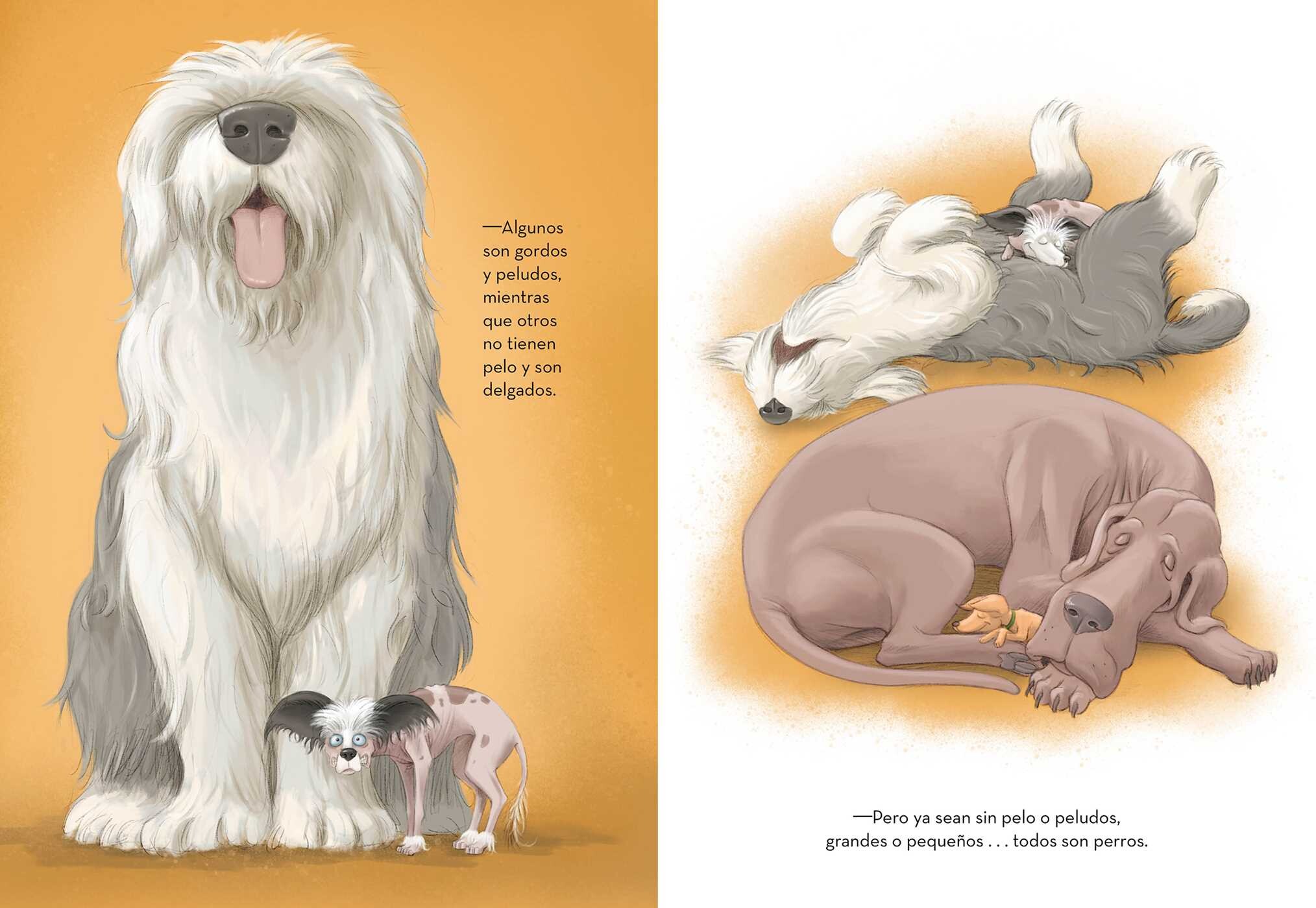 ¡Todos son perros!