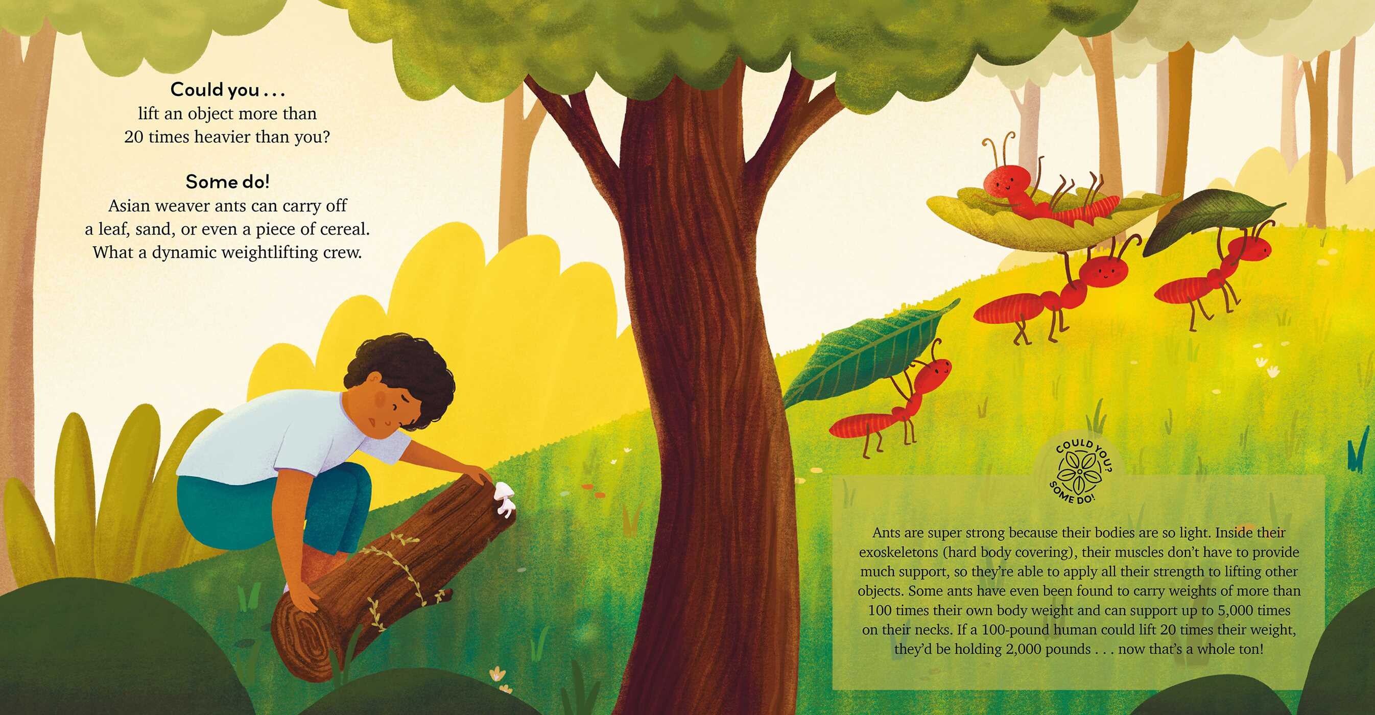 Are You Stronger Than an Ant?