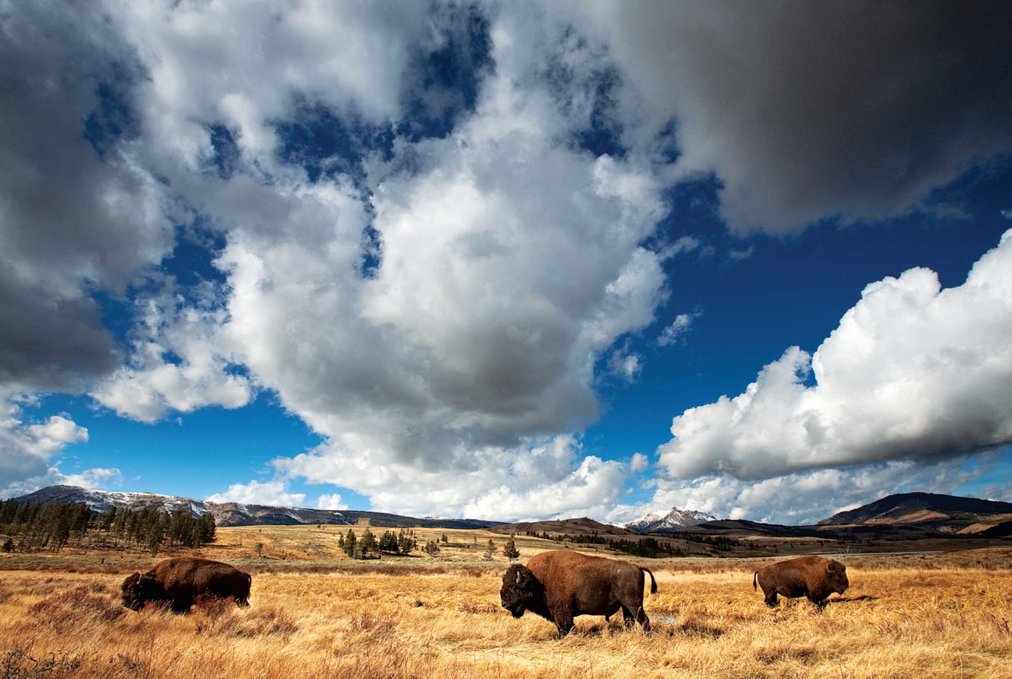 Ian Shive: The National Parks Blank Boxed Notecards