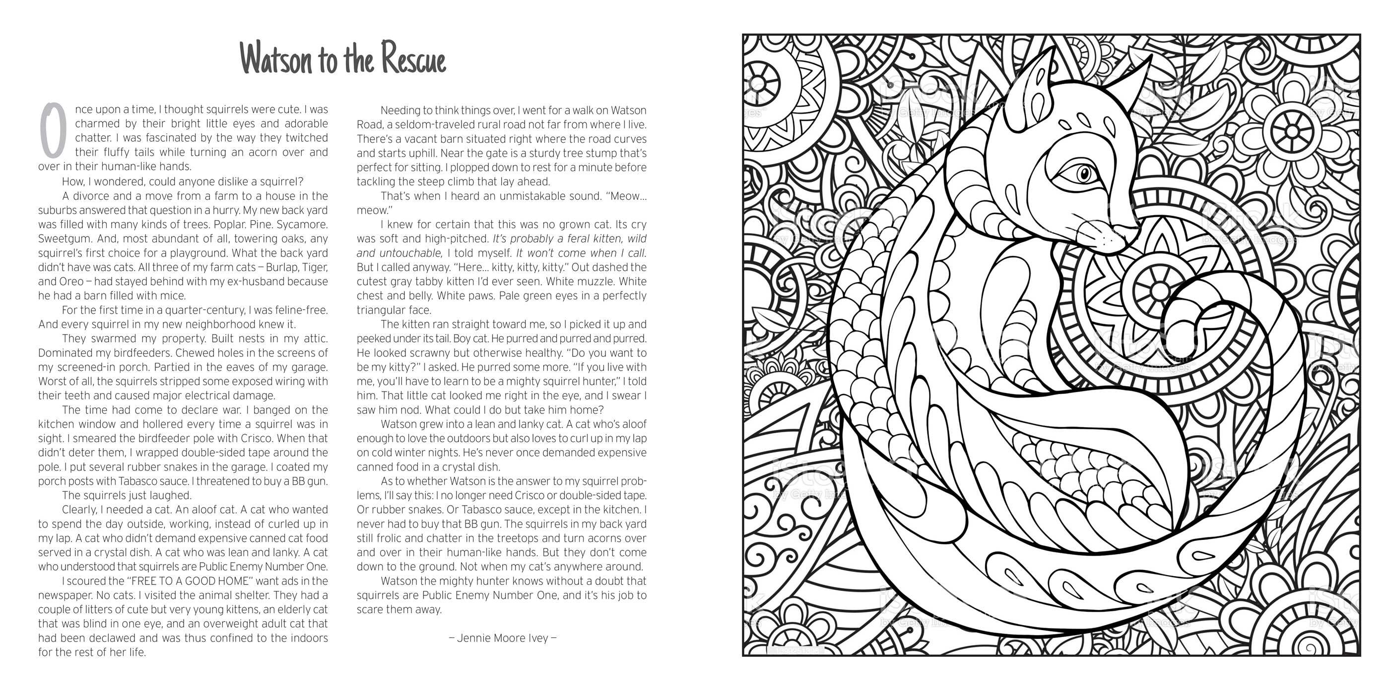 Chicken Soup for the Soul: My Very Good, Very Bad Cat Coloring Book