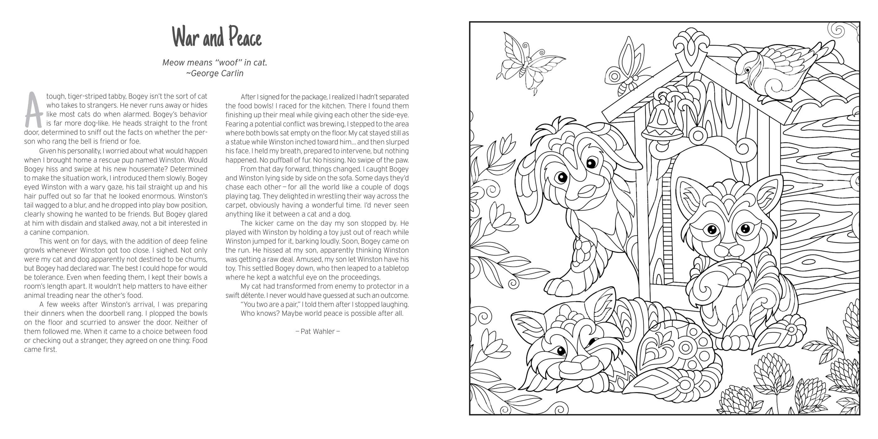 Chicken Soup for the Soul: My Very Good, Very Bad Cat Coloring Book