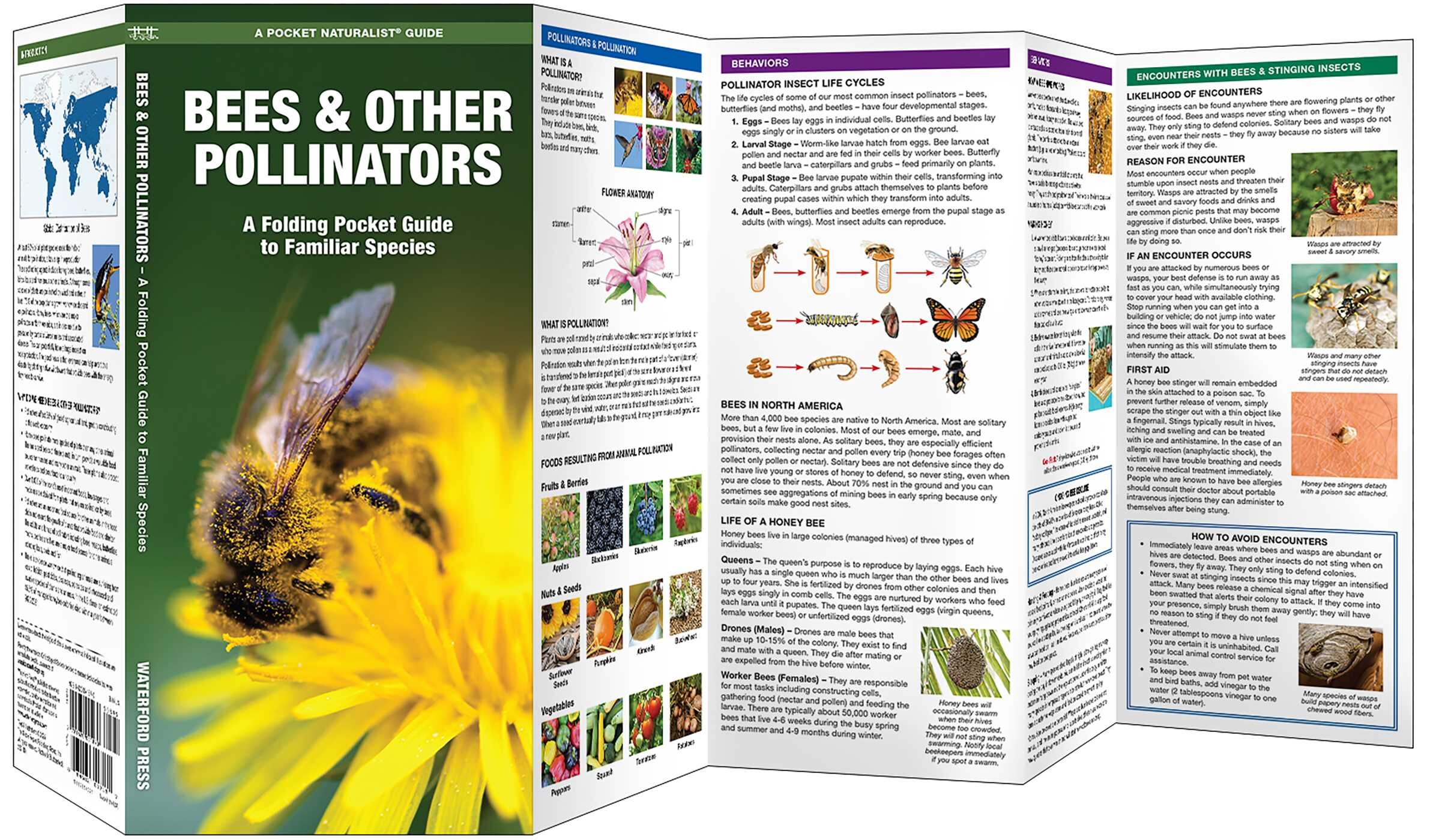 Bees & Other Pollinators