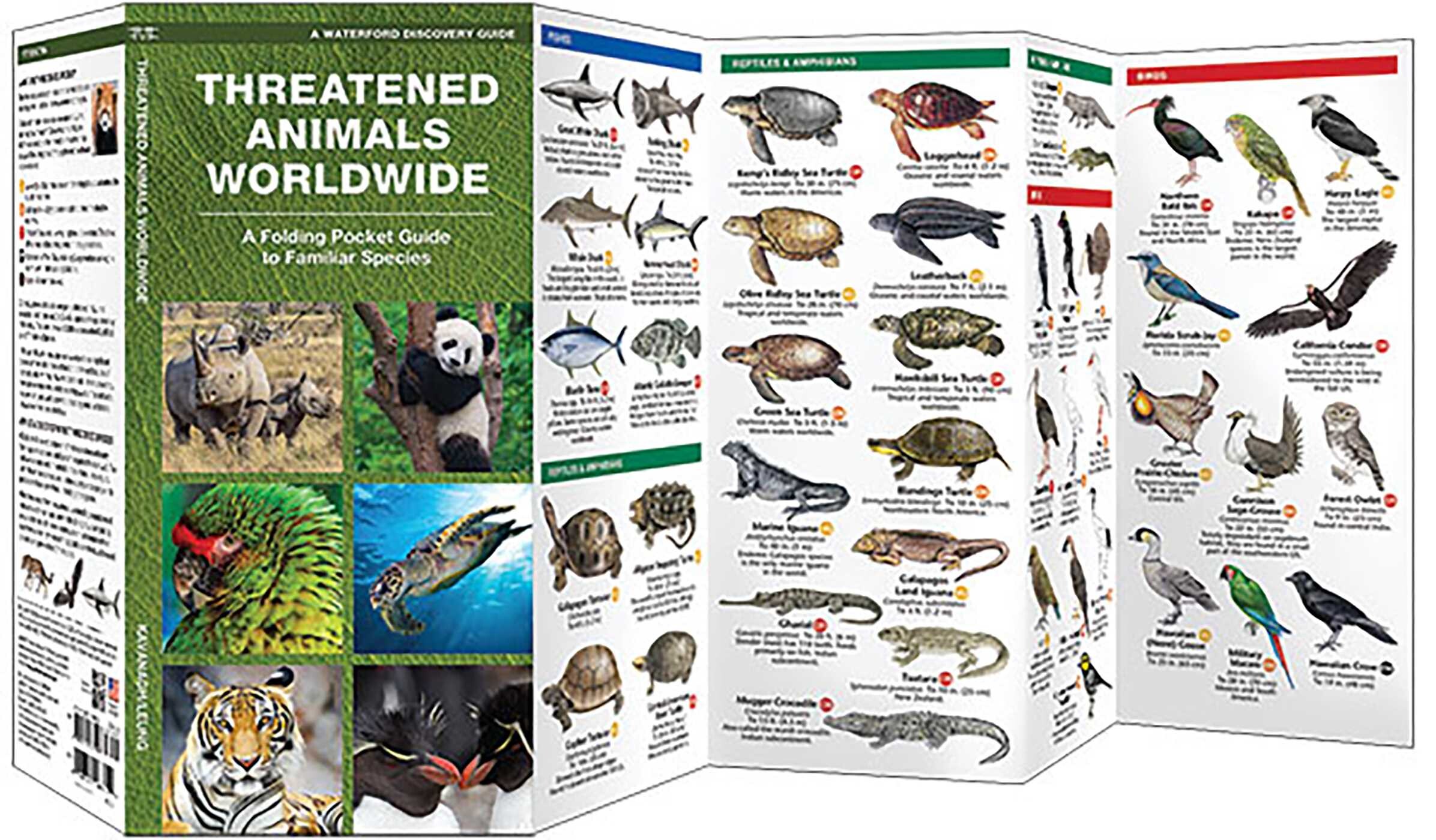 Threatened Animals Worldwide