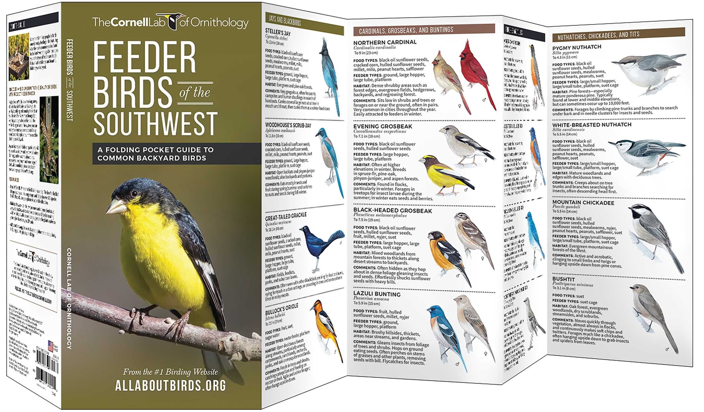 Feeder Birds of the Southwest