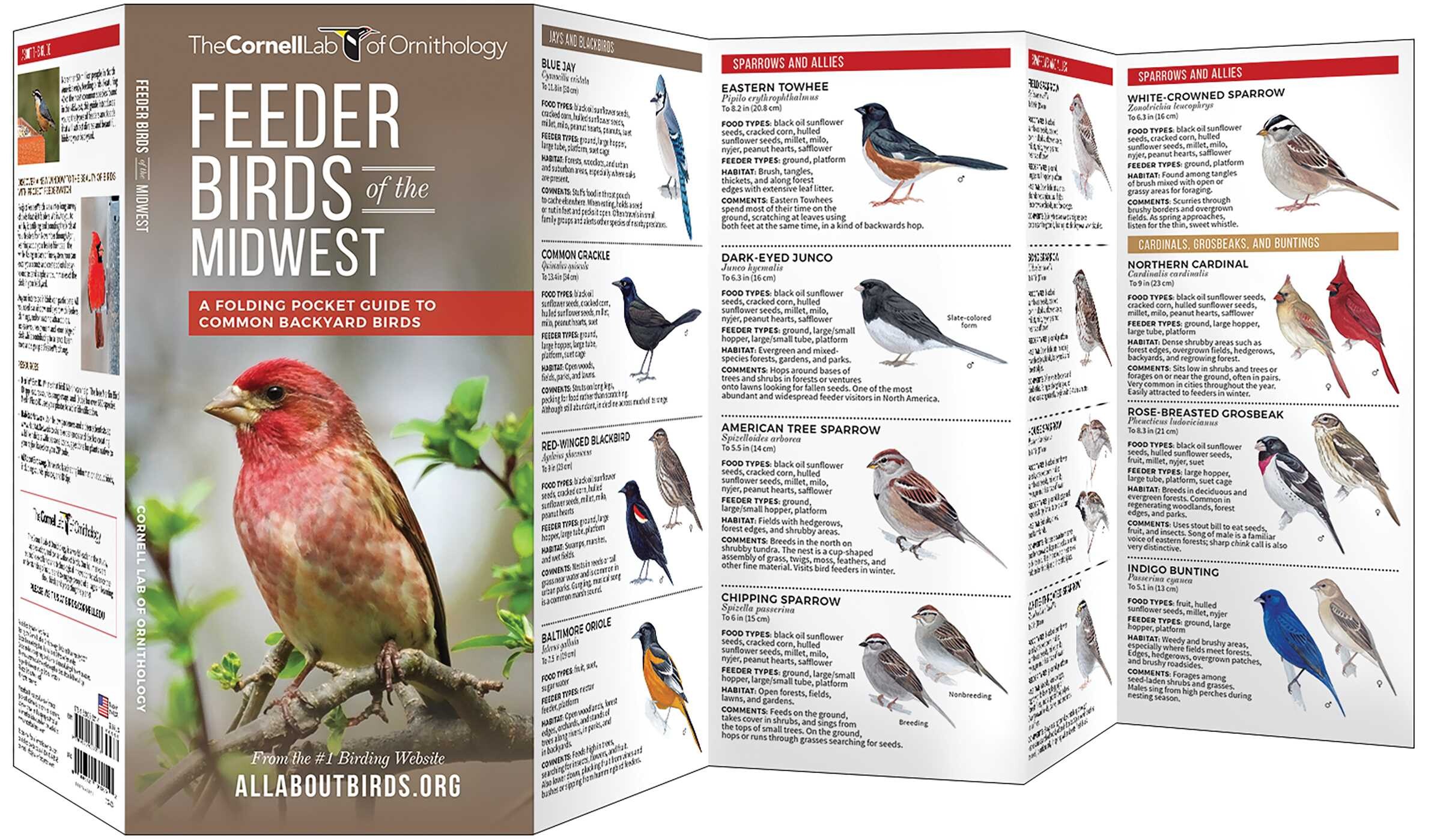 Feeder Birds of the Midwest