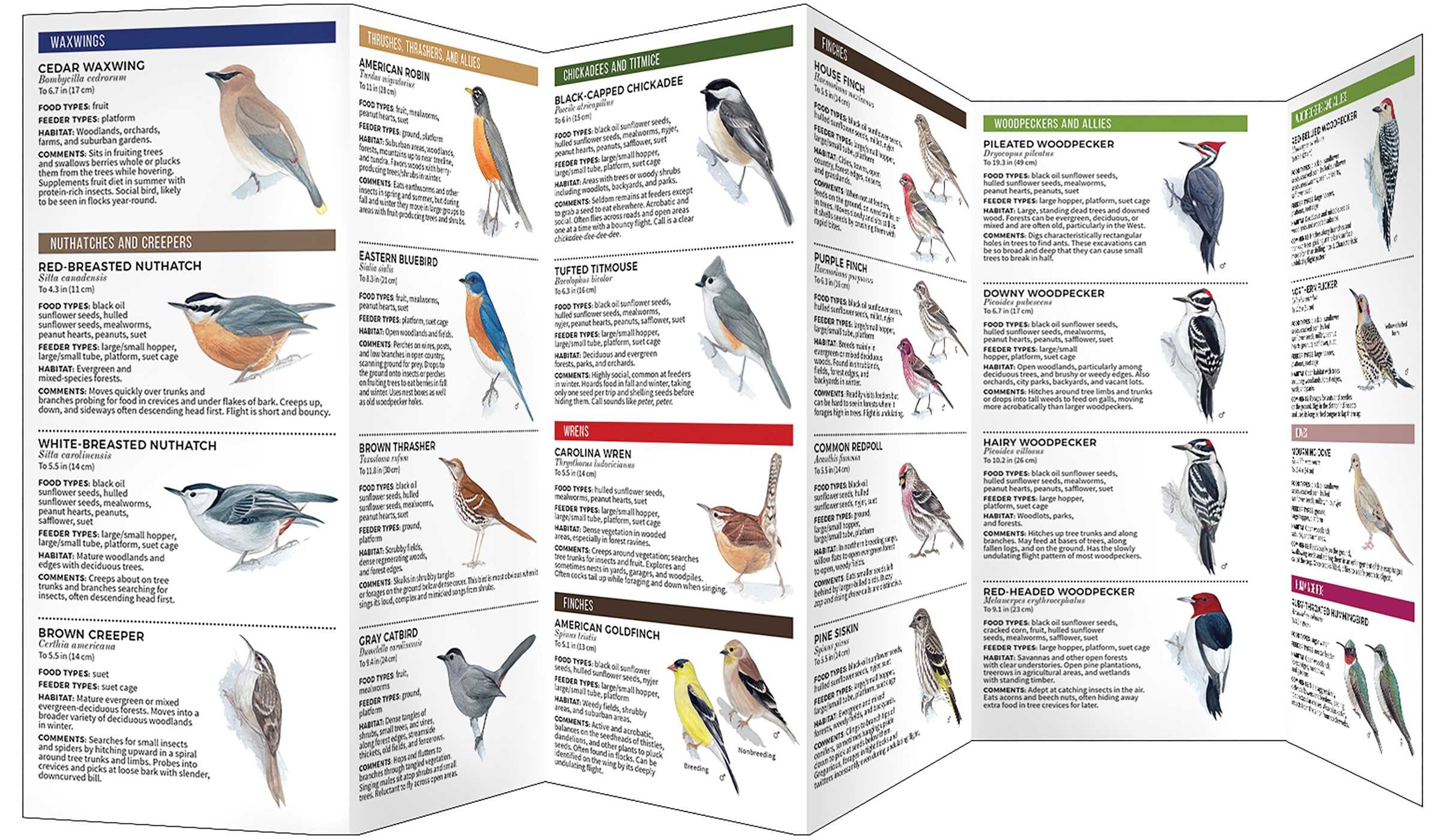 Feeder Birds of the Midwest