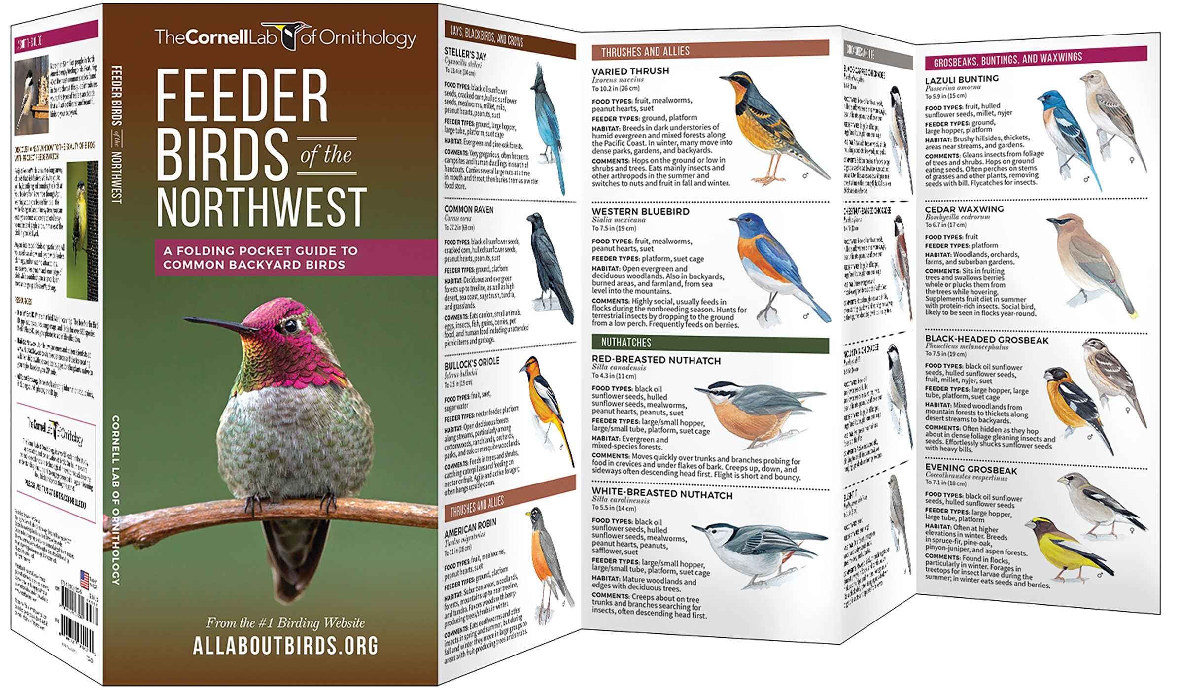 Feeder Birds of the Northwest