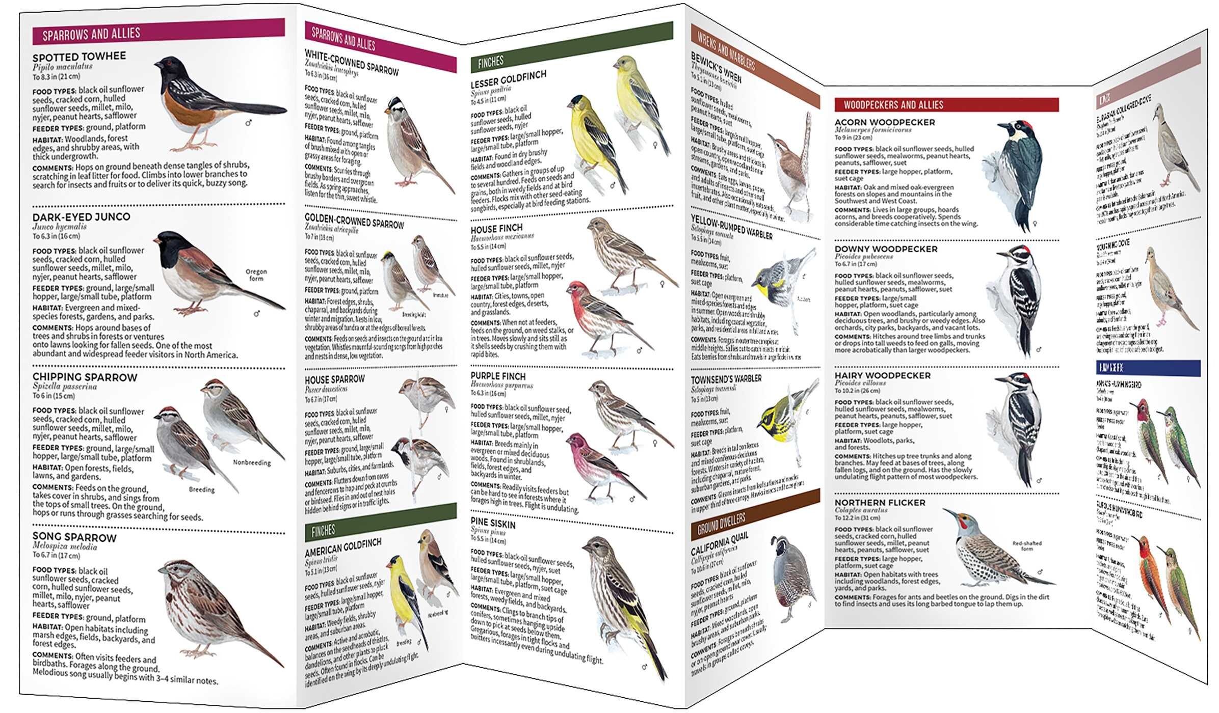 Feeder Birds of the Northwest